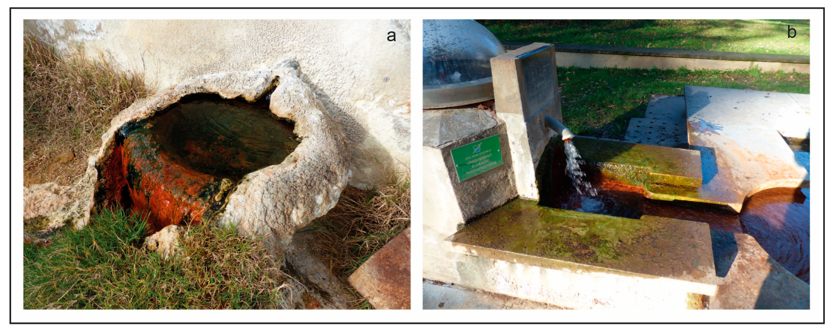 Diversity 15 00283 g002