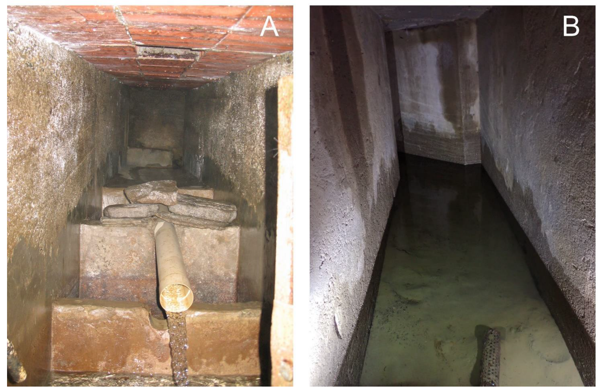 Diversity 15 00290 g001 Diversity 15 00290 g001