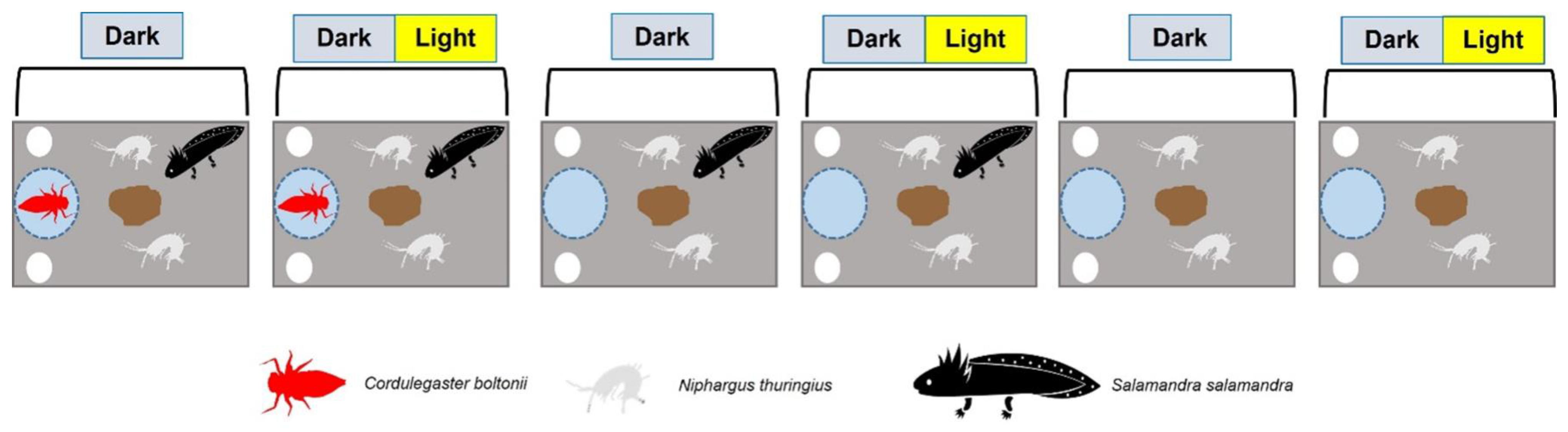 Diversity 15 00290 g002 Diversity 15 00290 g002