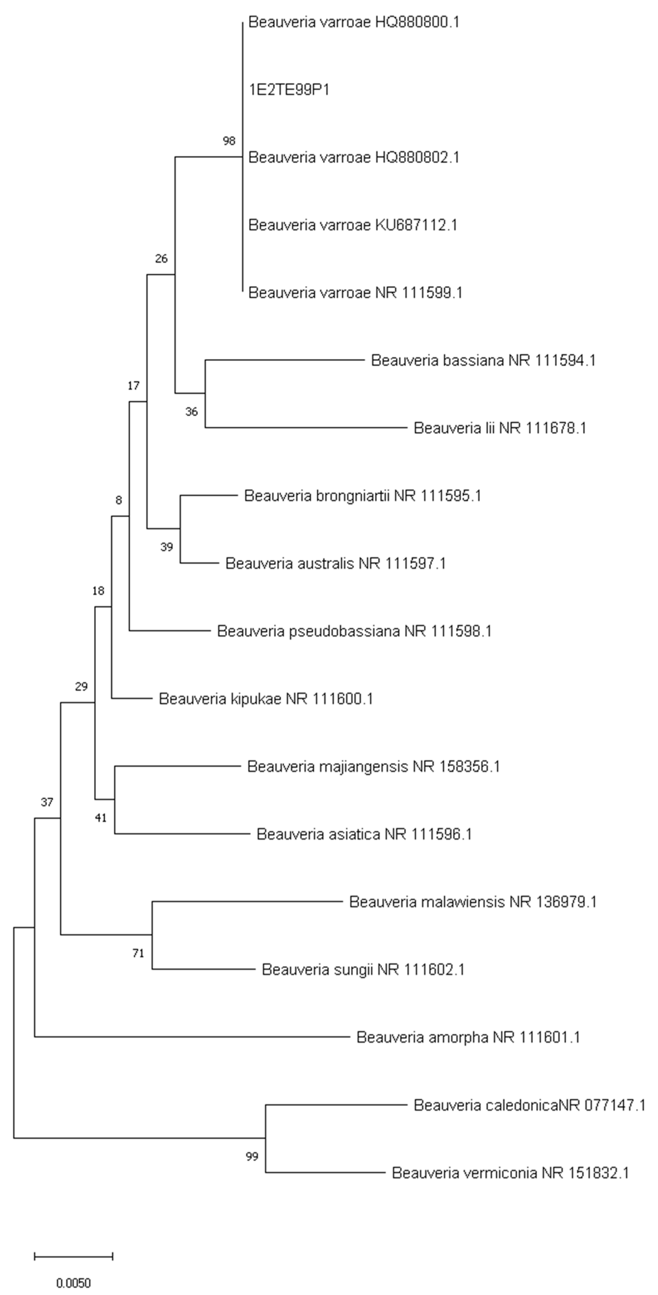 Diversity 15 00312 g003