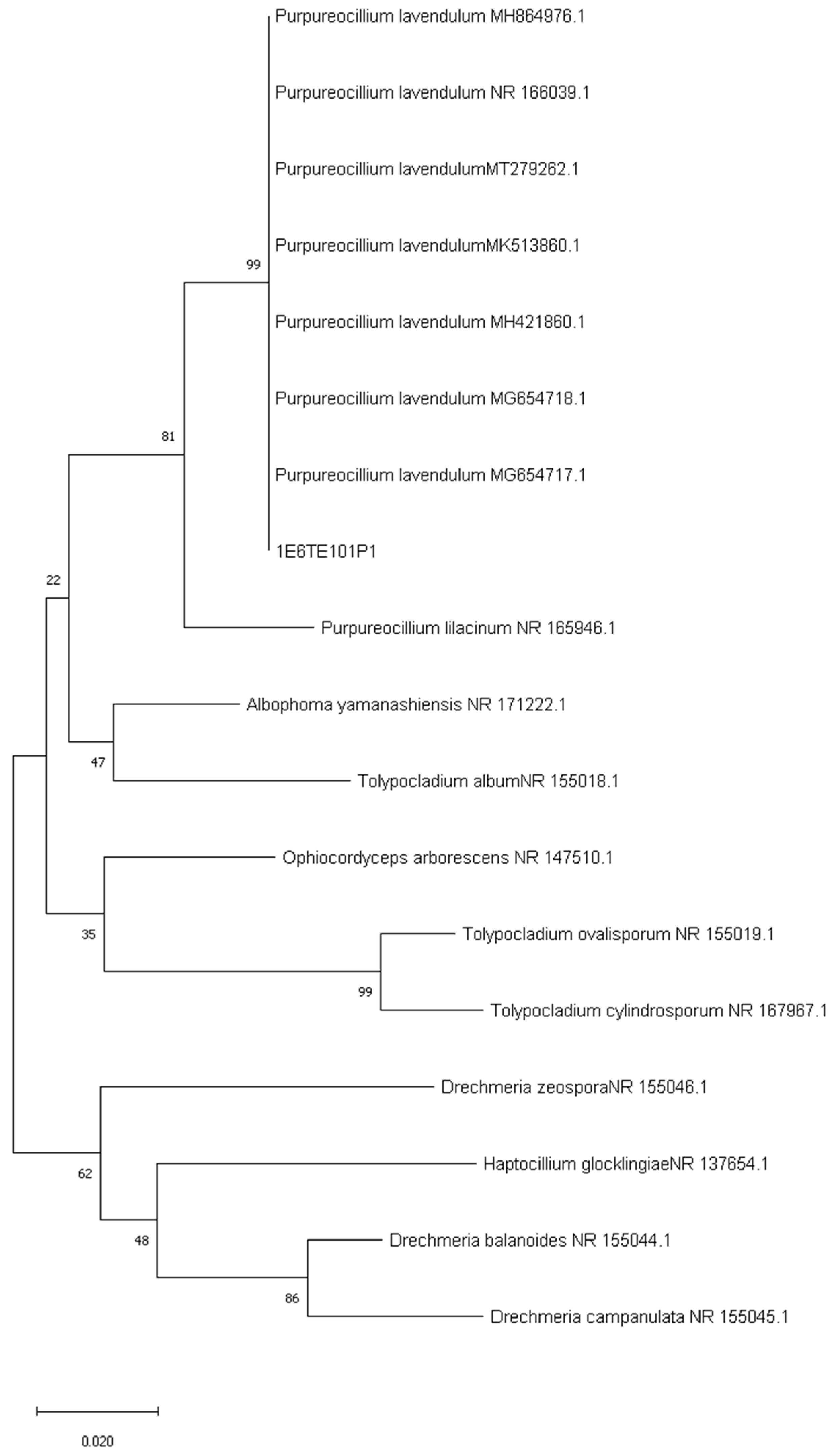Diversity 15 00312 g004