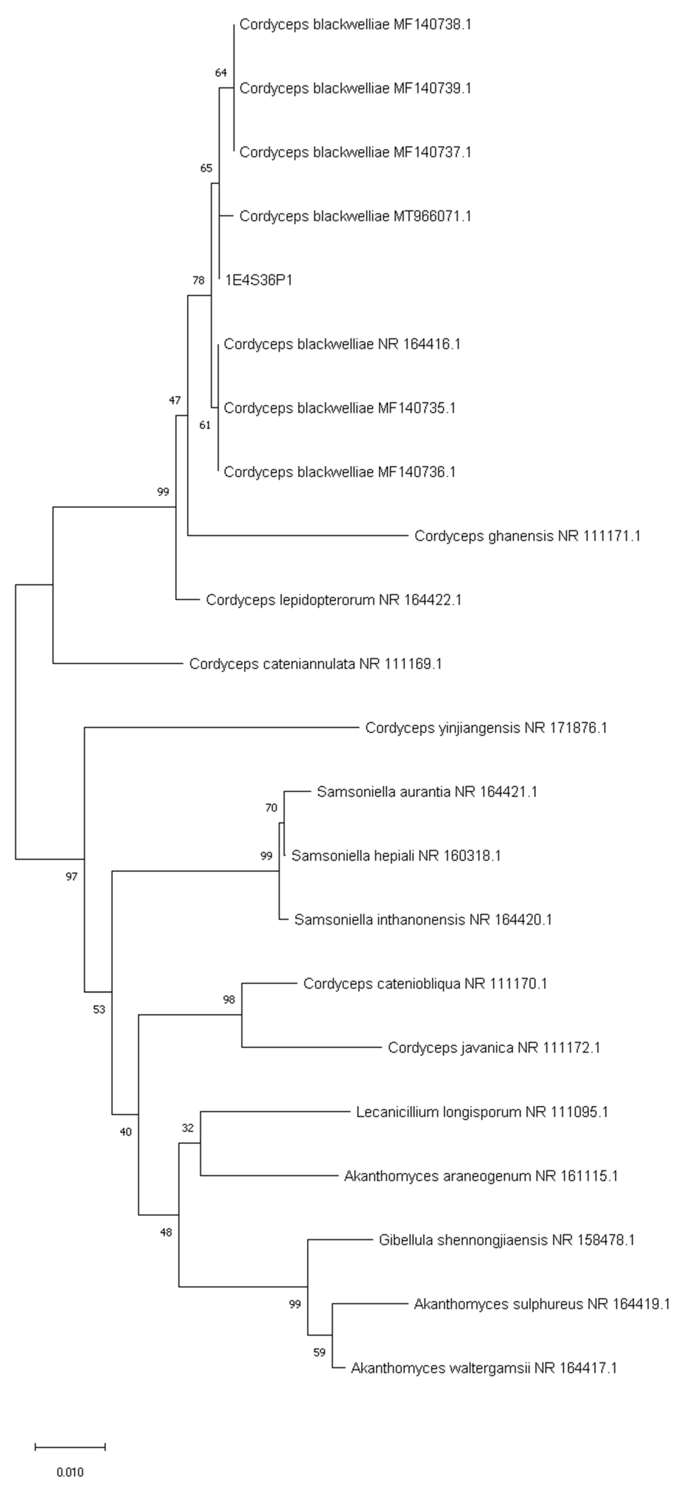 Diversity 15 00312 g005
