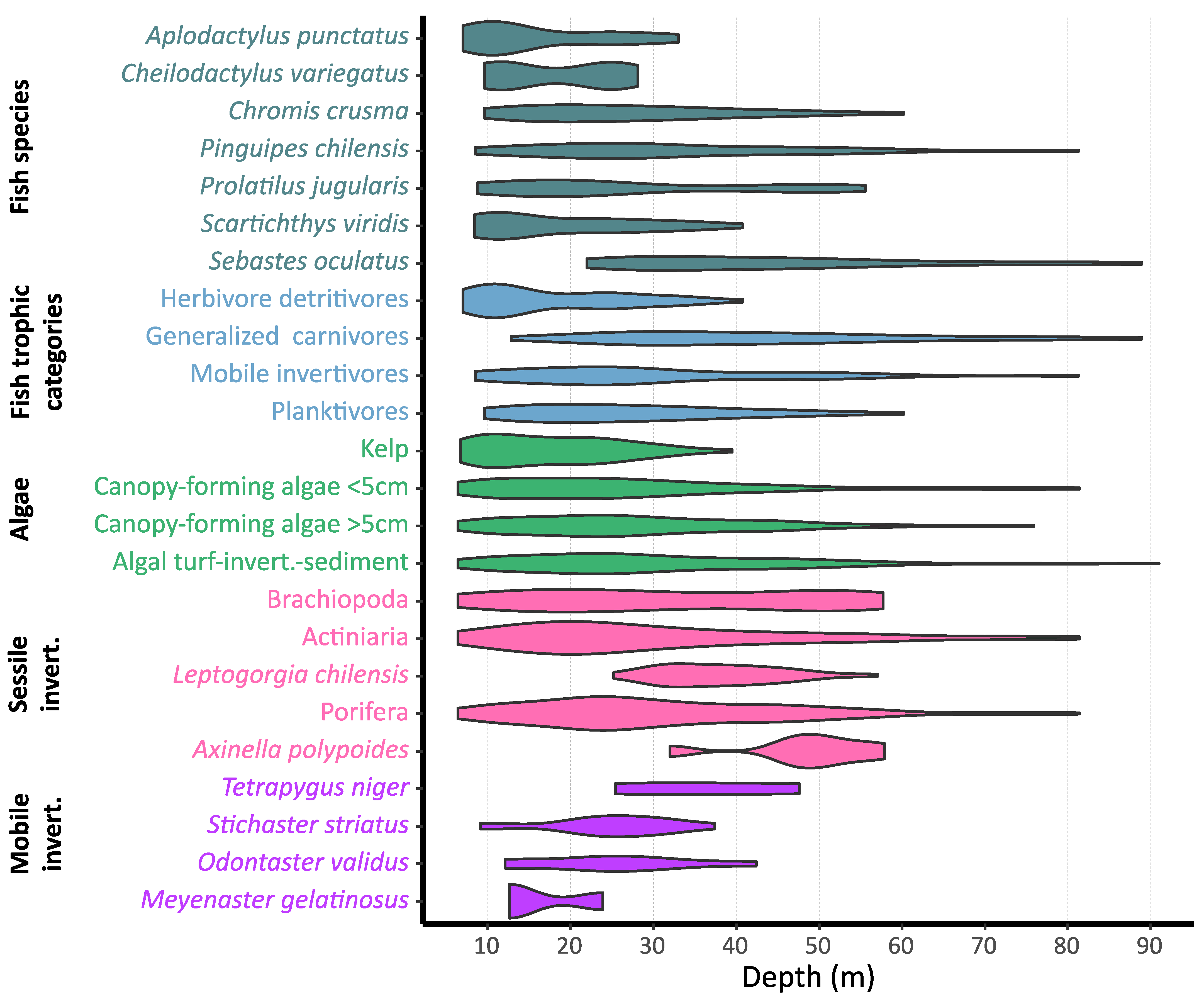 Diversity 15 00360 g003