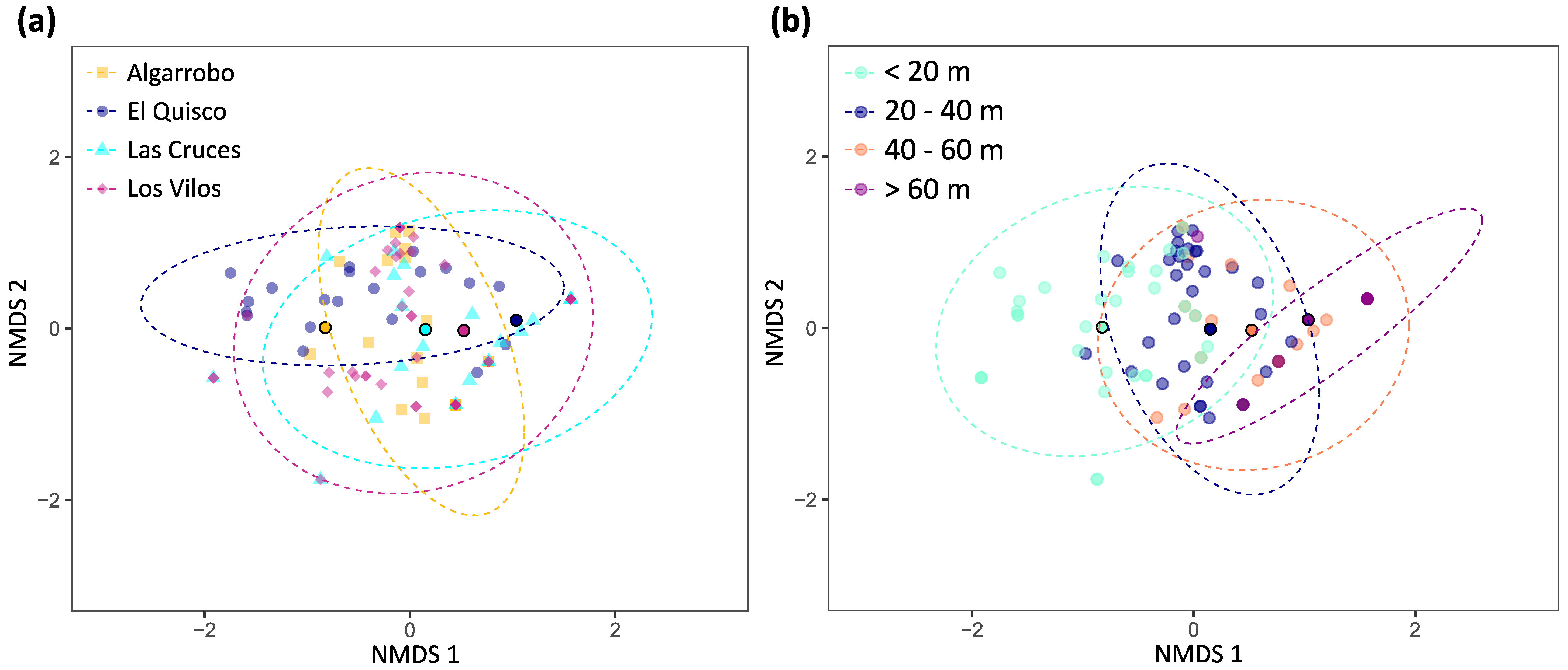 Diversity 15 00360 g005