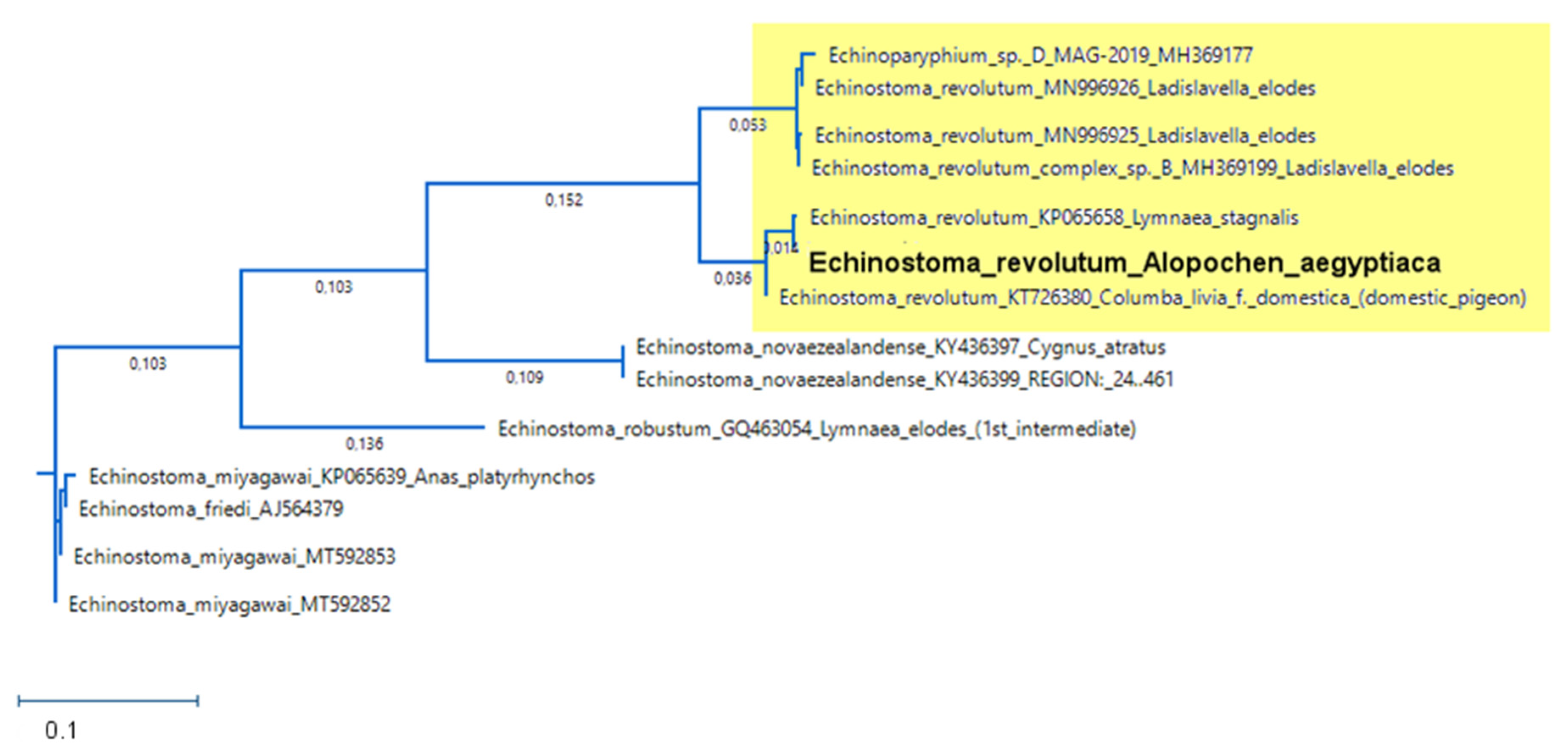 Diversity 15 00388 g007