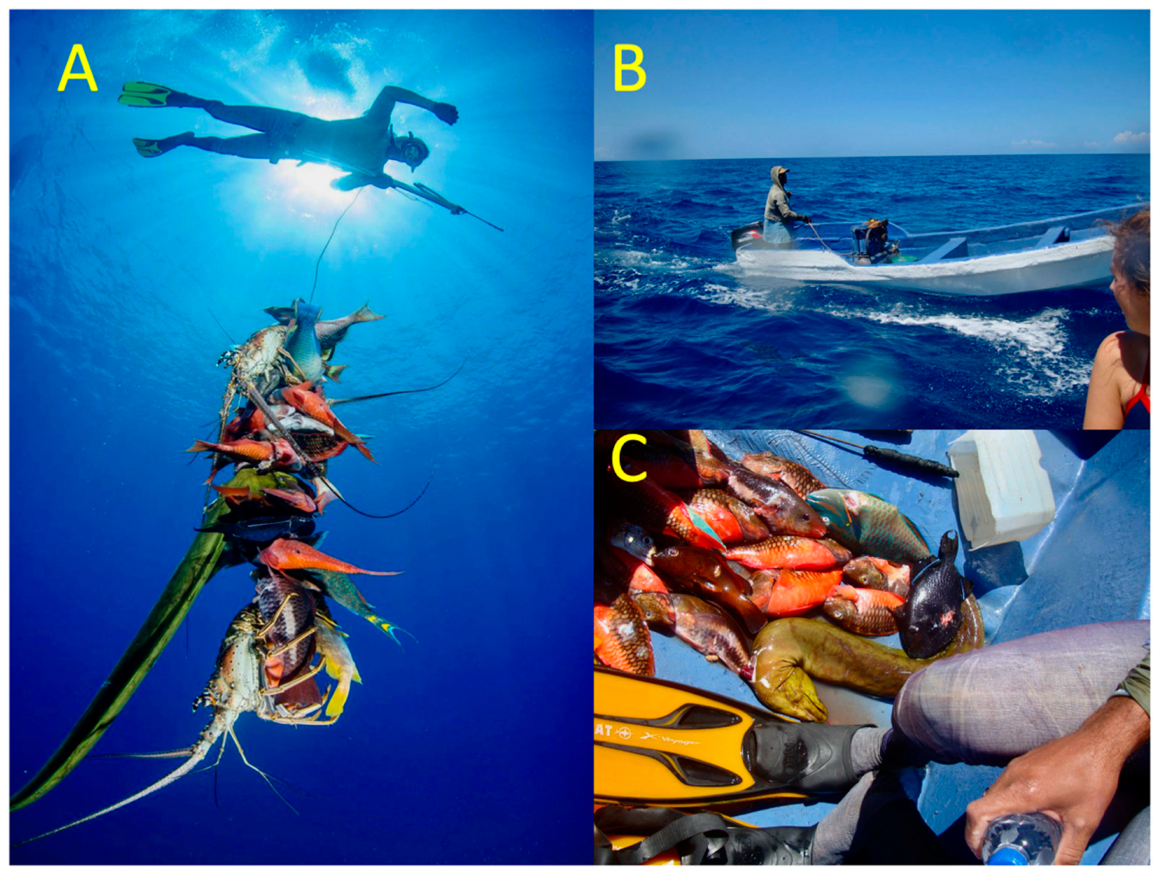 Diversity 15 00389 g008 Diversity 15 00389 g008