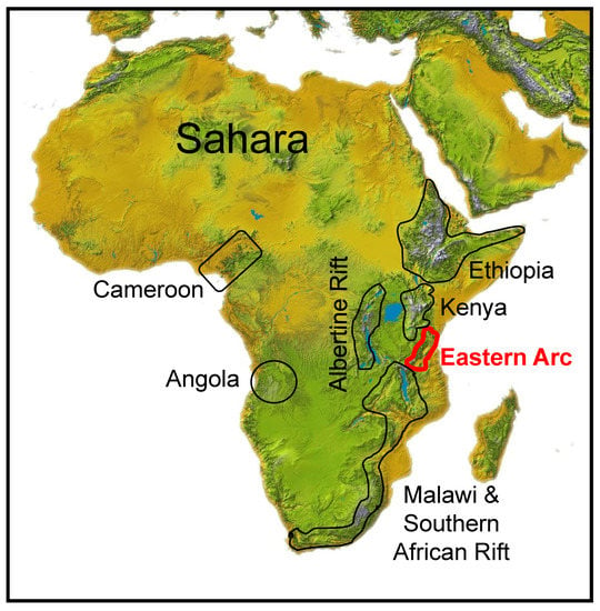 Diversity | Free Full-Text | Climate Cycles, Habitat Stability, and Lineage  Diversification in an African Biodiversity Hotspot