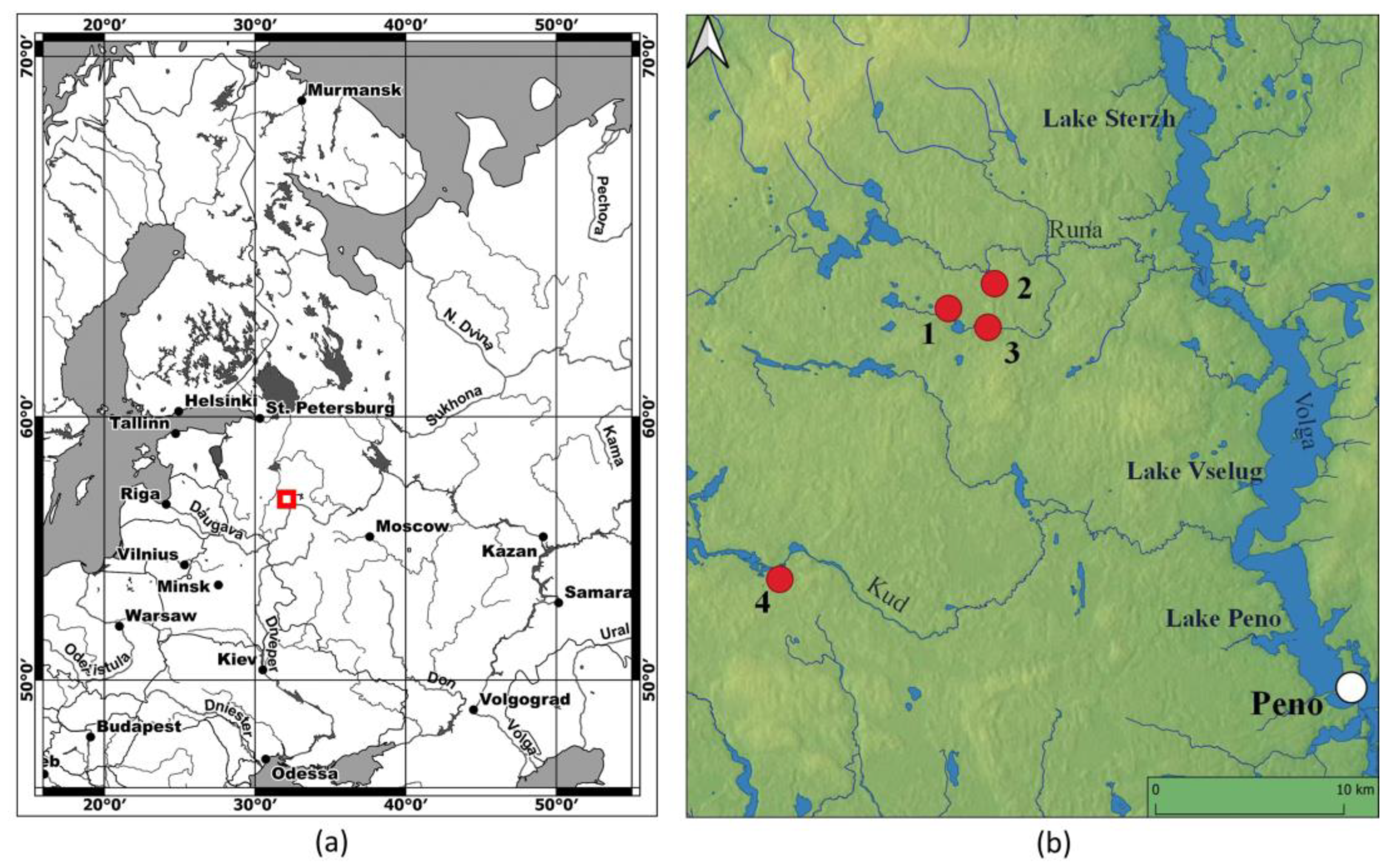 Diversity | Free Full-Text | Dynamics of Diversity of Woody Species Taxa  under Human Impact in the Upper Volga Region (NW Russia) According to  Pedoanthracological Data