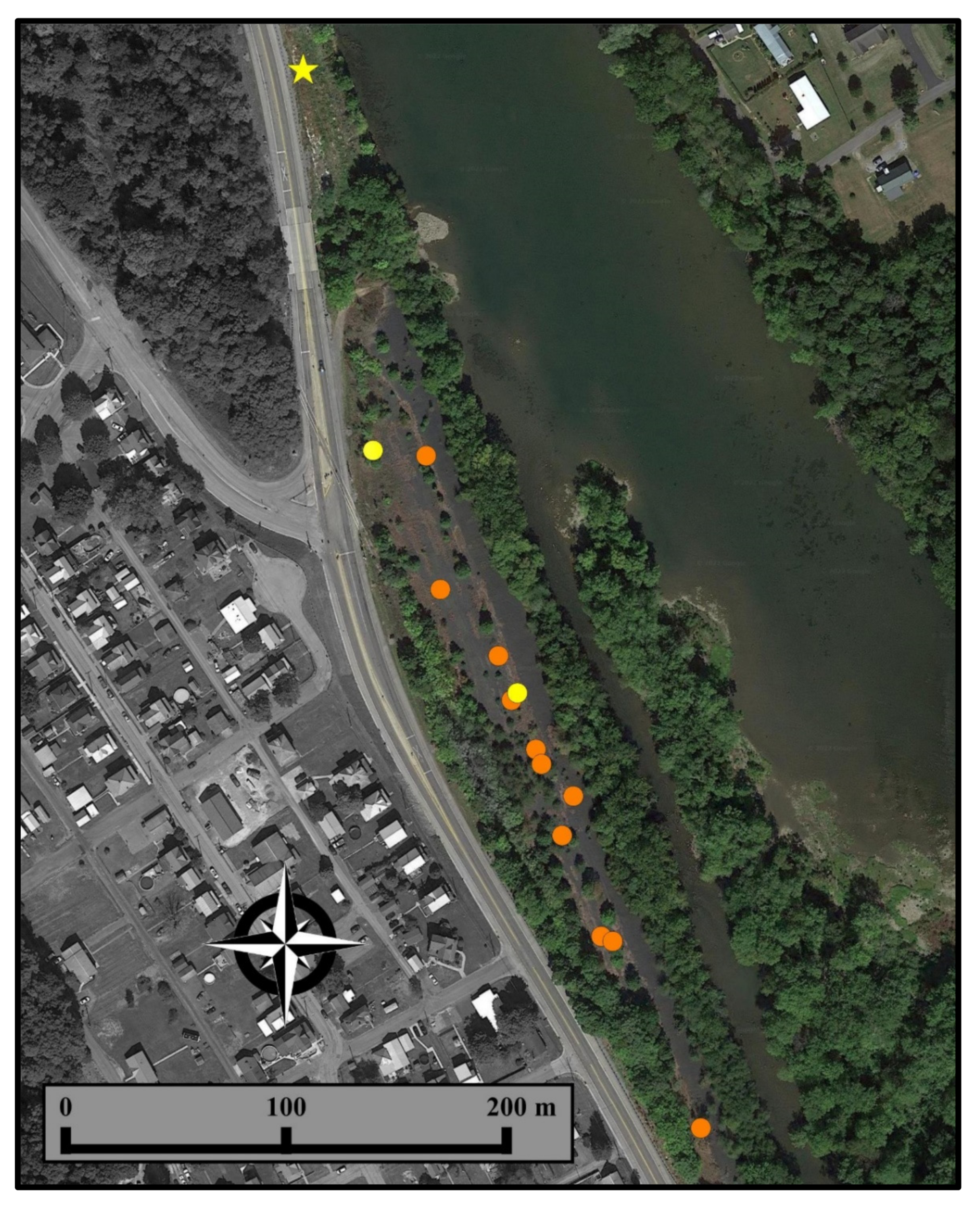 Diversity 15 00444 g004 Diversity 15 00444 g004