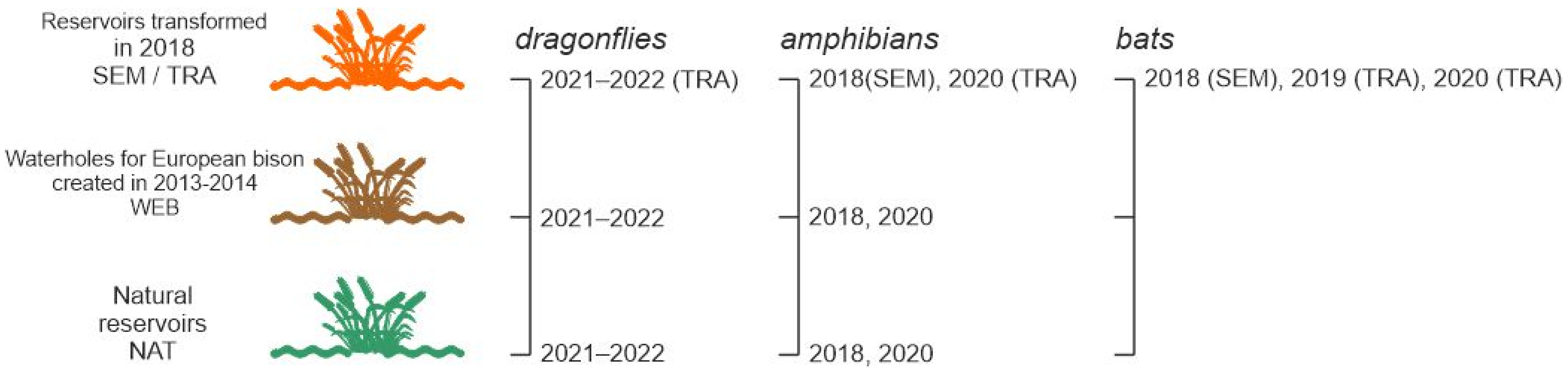 Diversity 15 00446 g002 Diversity 15 00446 g002