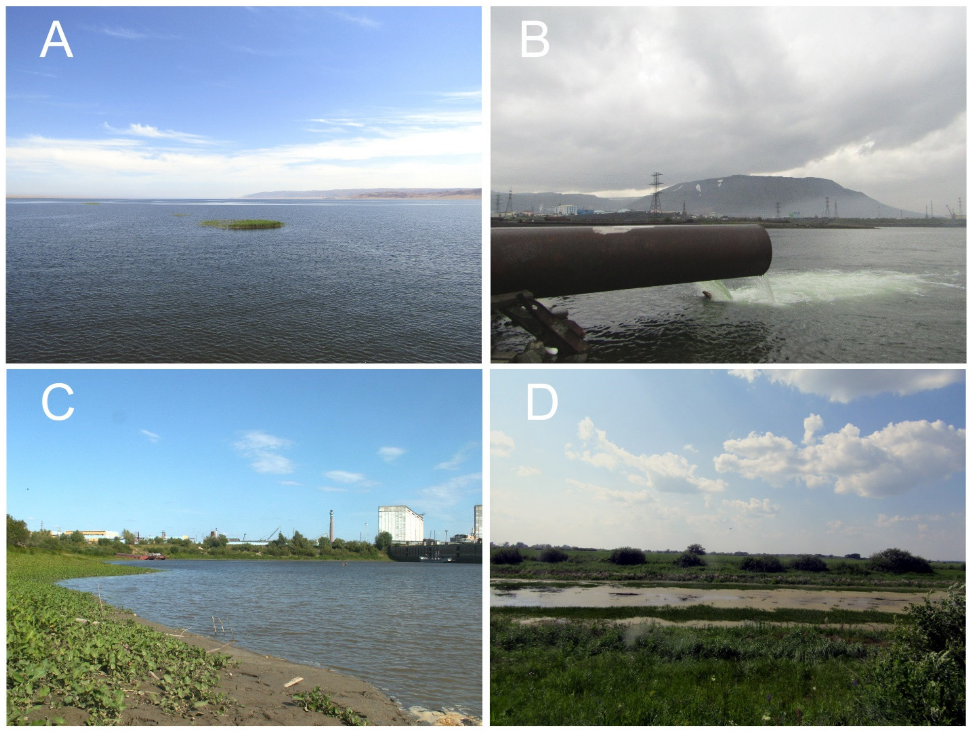 Diversity 15 00465 g002 Diversity 15 00465 g002