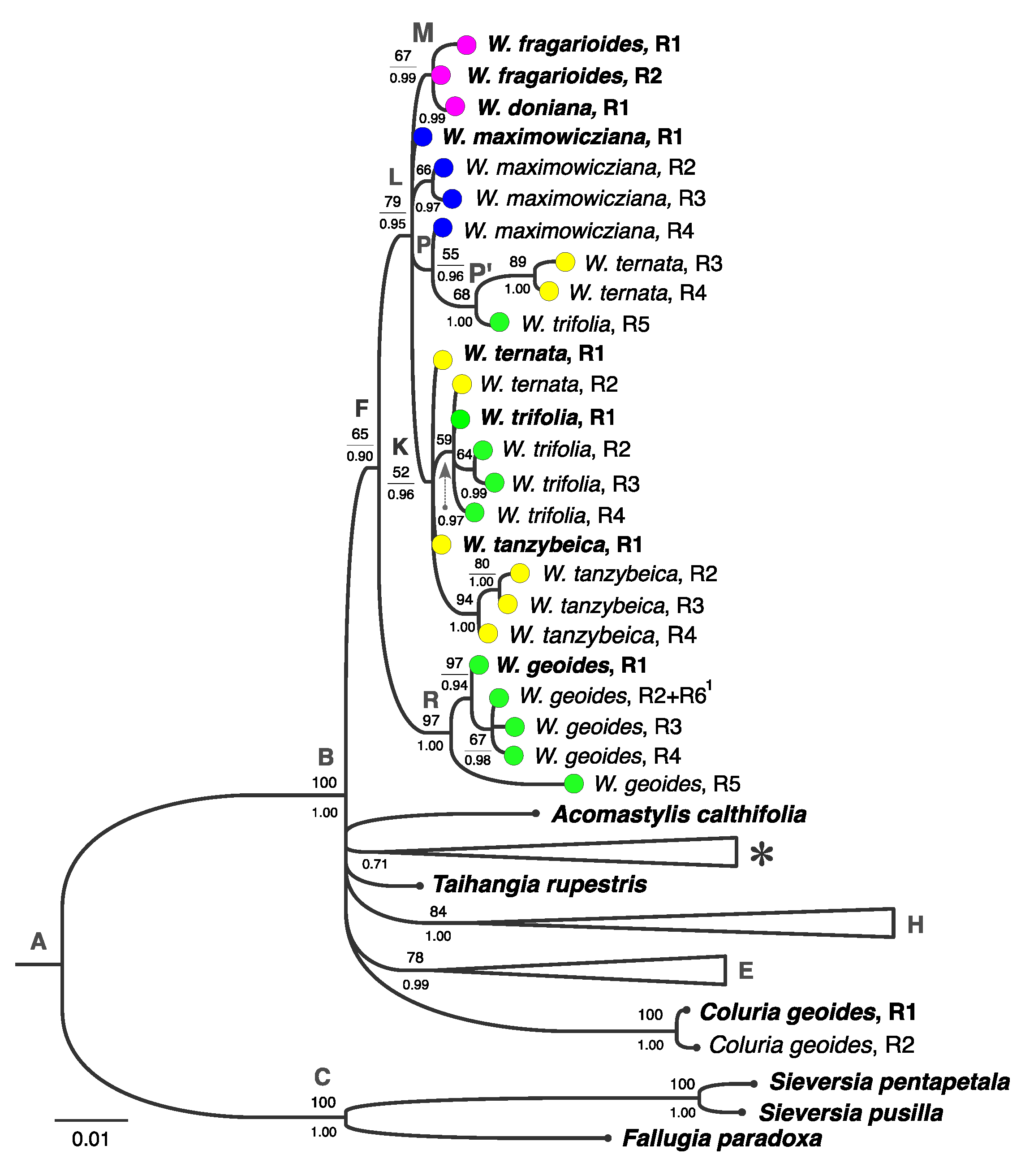 Diversity 15 00479 g002 Diversity 15 00479 g002