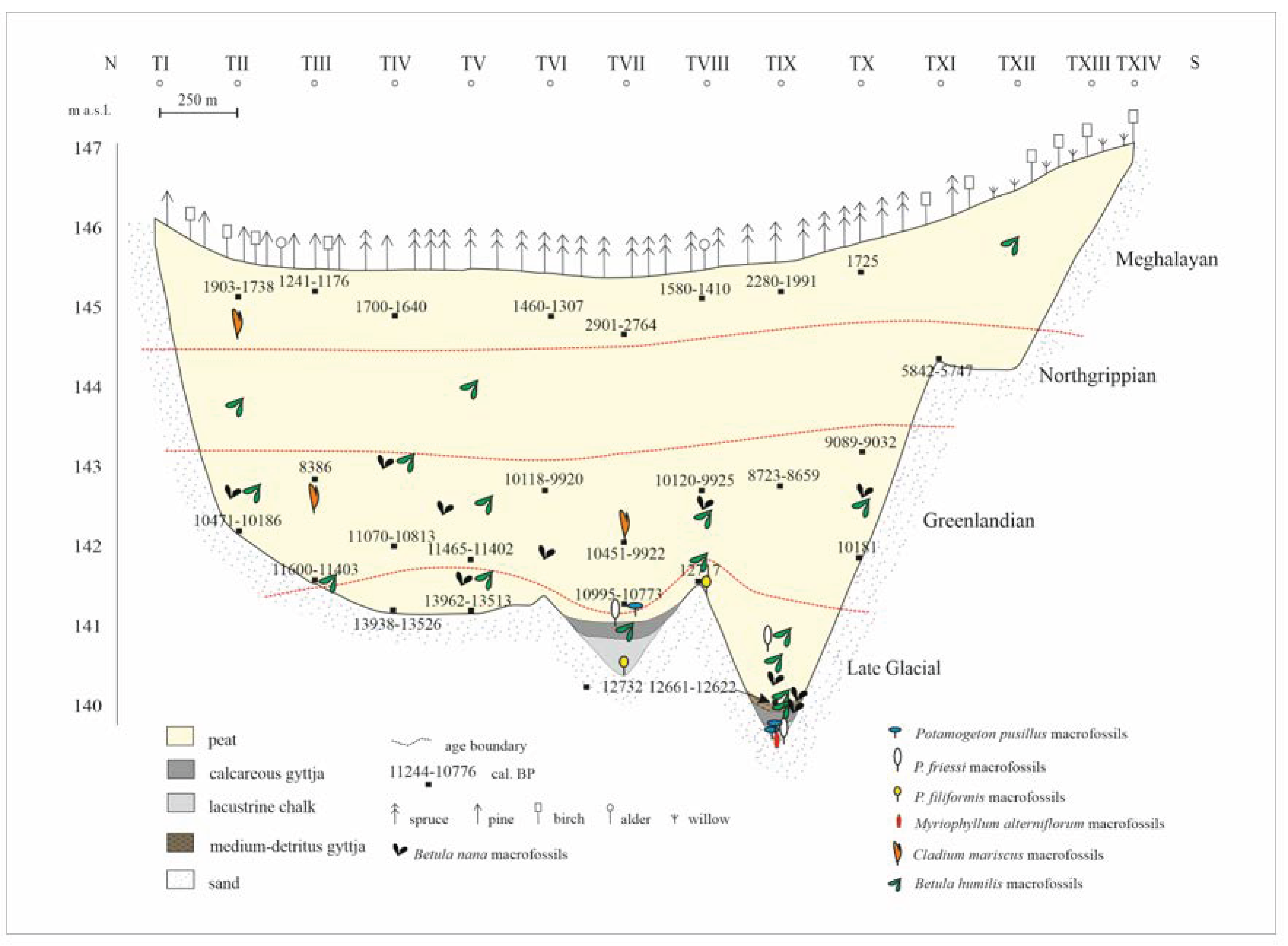 https://www.mdpi.com/diversity/diversity-15-00502/article_deploy/html/images/diversity-15-00502-g003.png