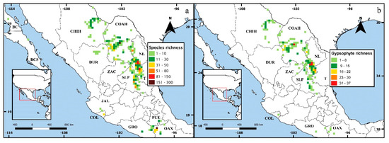 Diversity | Free Full-Text | Patterns of Richness and Endemism in the ...