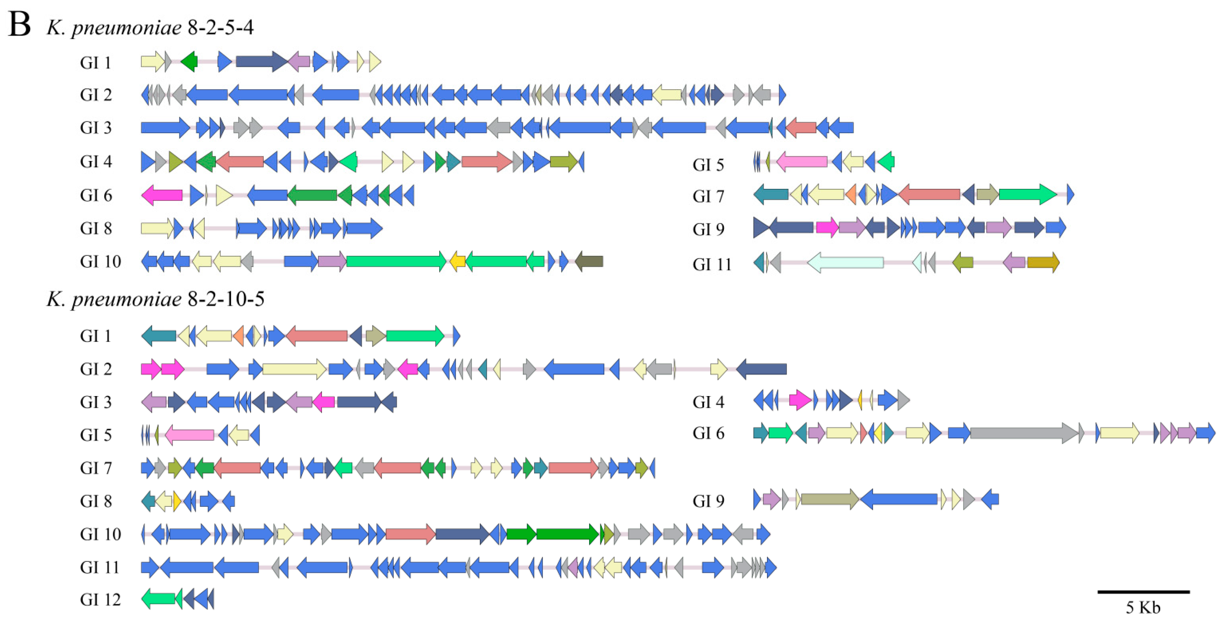 Diversity 15 00527 g003b