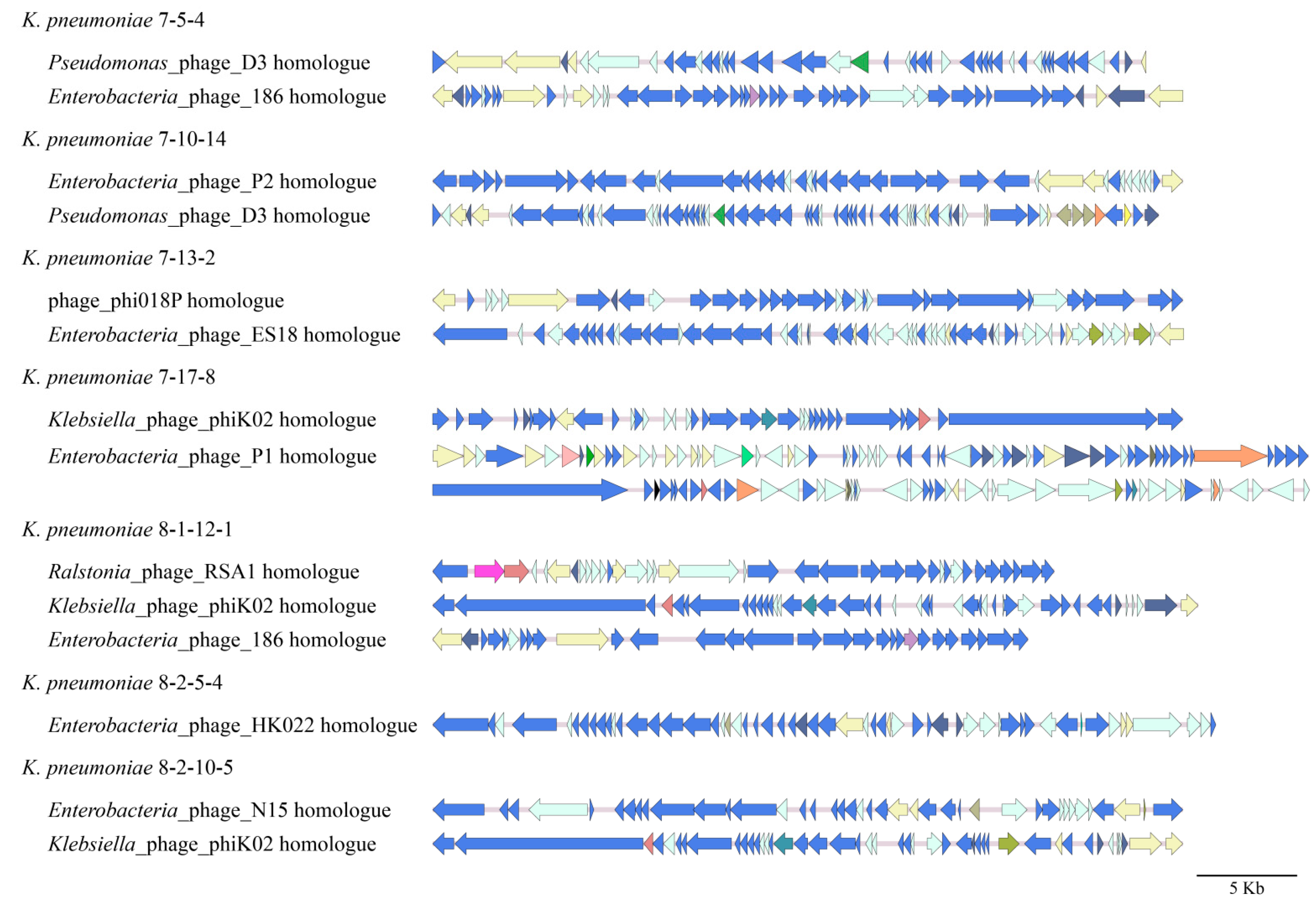 Diversity 15 00527 g004