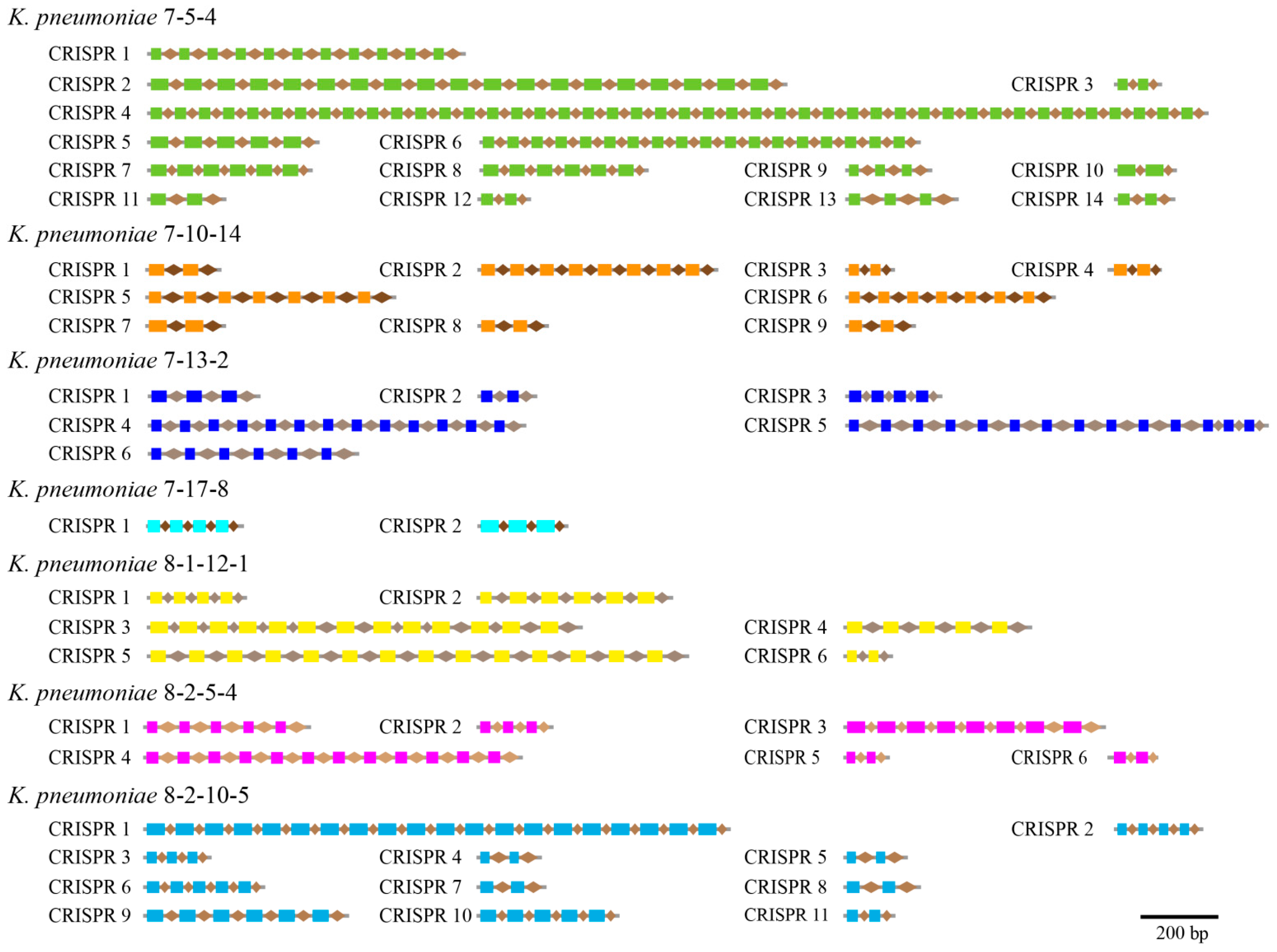 Diversity 15 00527 g006