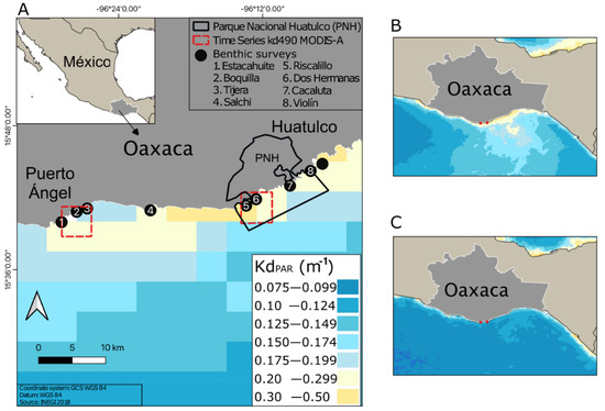 Diversity | Free Full-Text | Benthic Characterization of Mesophotic  Communities Based on Optical Depths in the Southern Mexican Pacific Coast  (Oaxaca)
