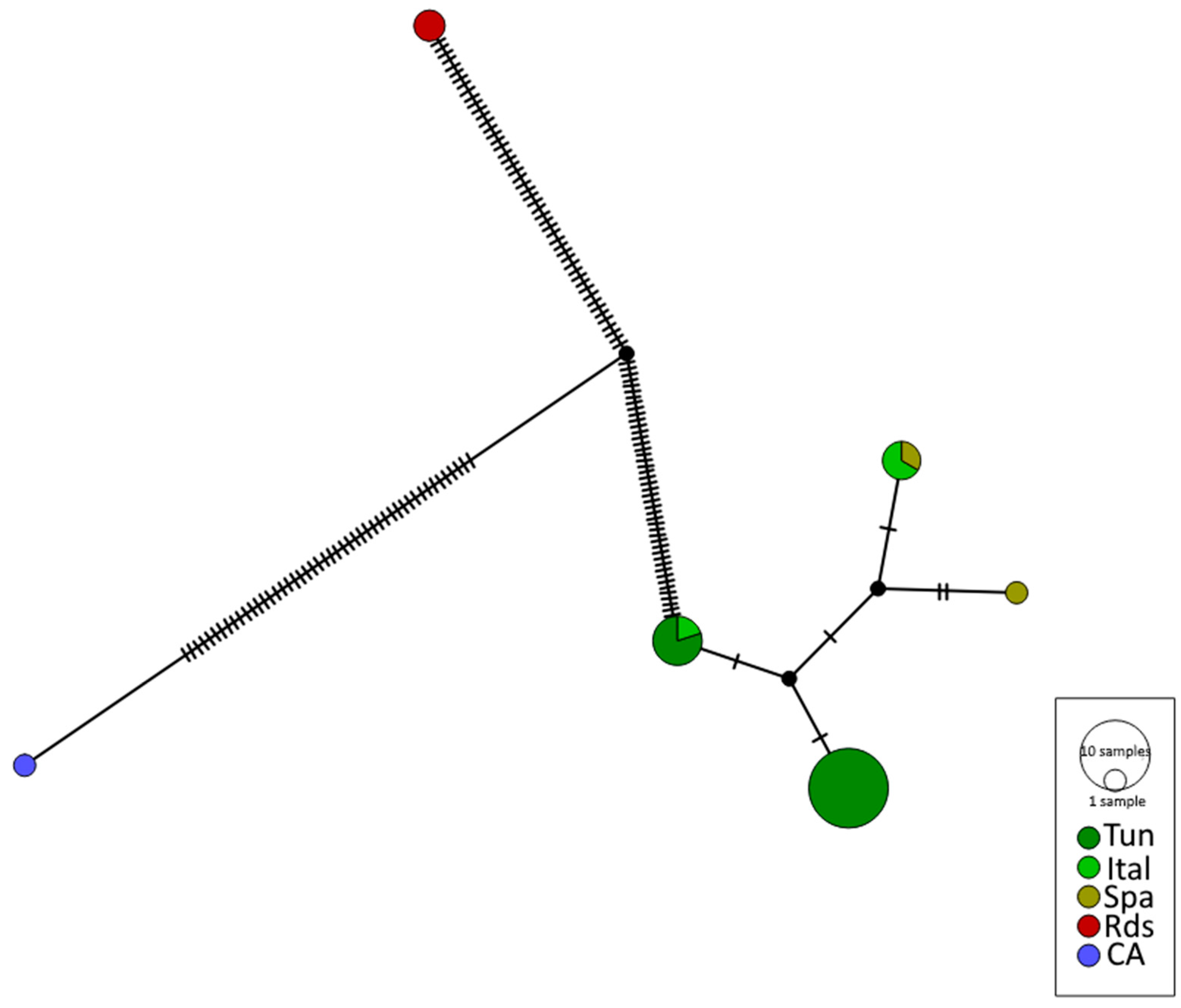 Diversity 15 00542 g004 Diversity 15 00542 g004