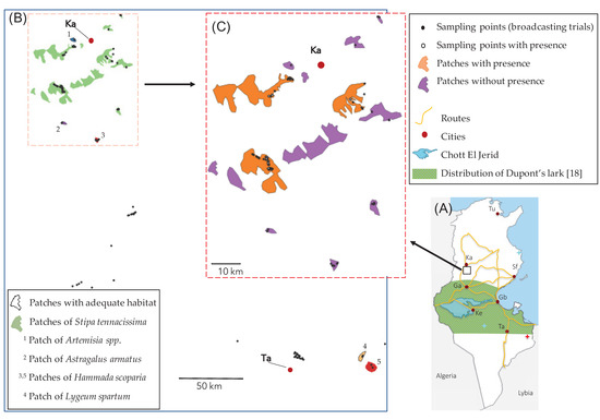 Diversity | Free Full-Text | Marked Range Regression and