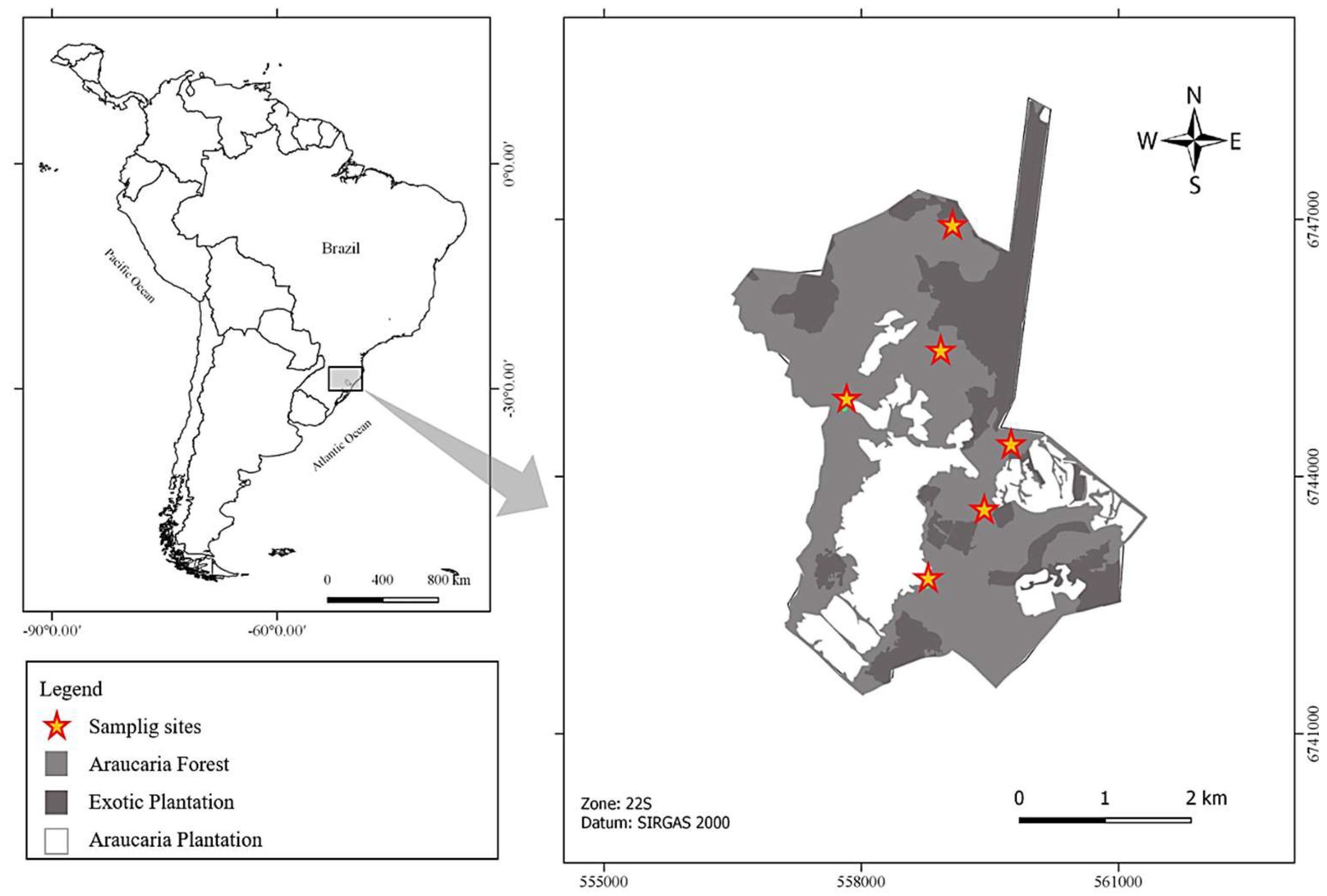 Diversity Free Full Text Microclimatic Fluctuation throughout