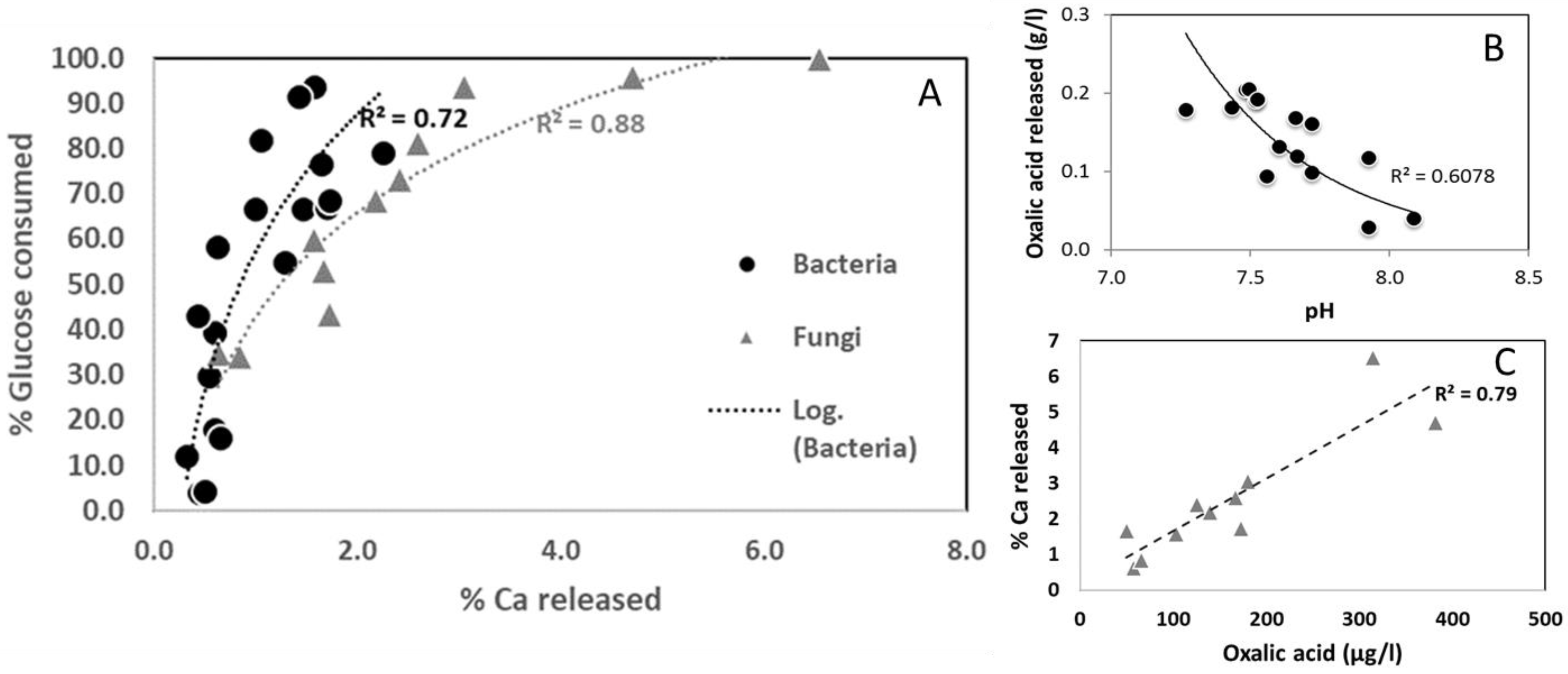 Diversity 15 00587 g002 Diversity 15 00587 g002