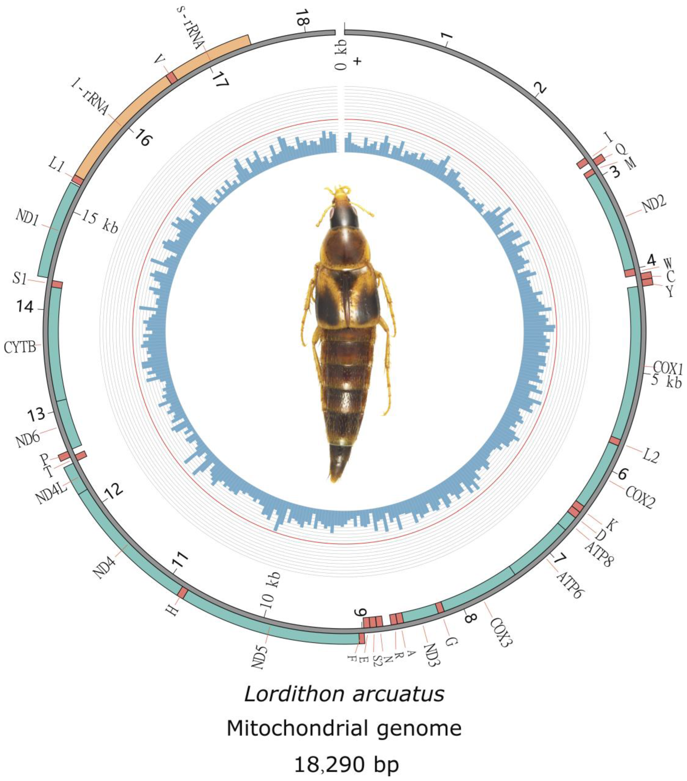 Diversity 15 00588 g001 Diversity 15 00588 g001