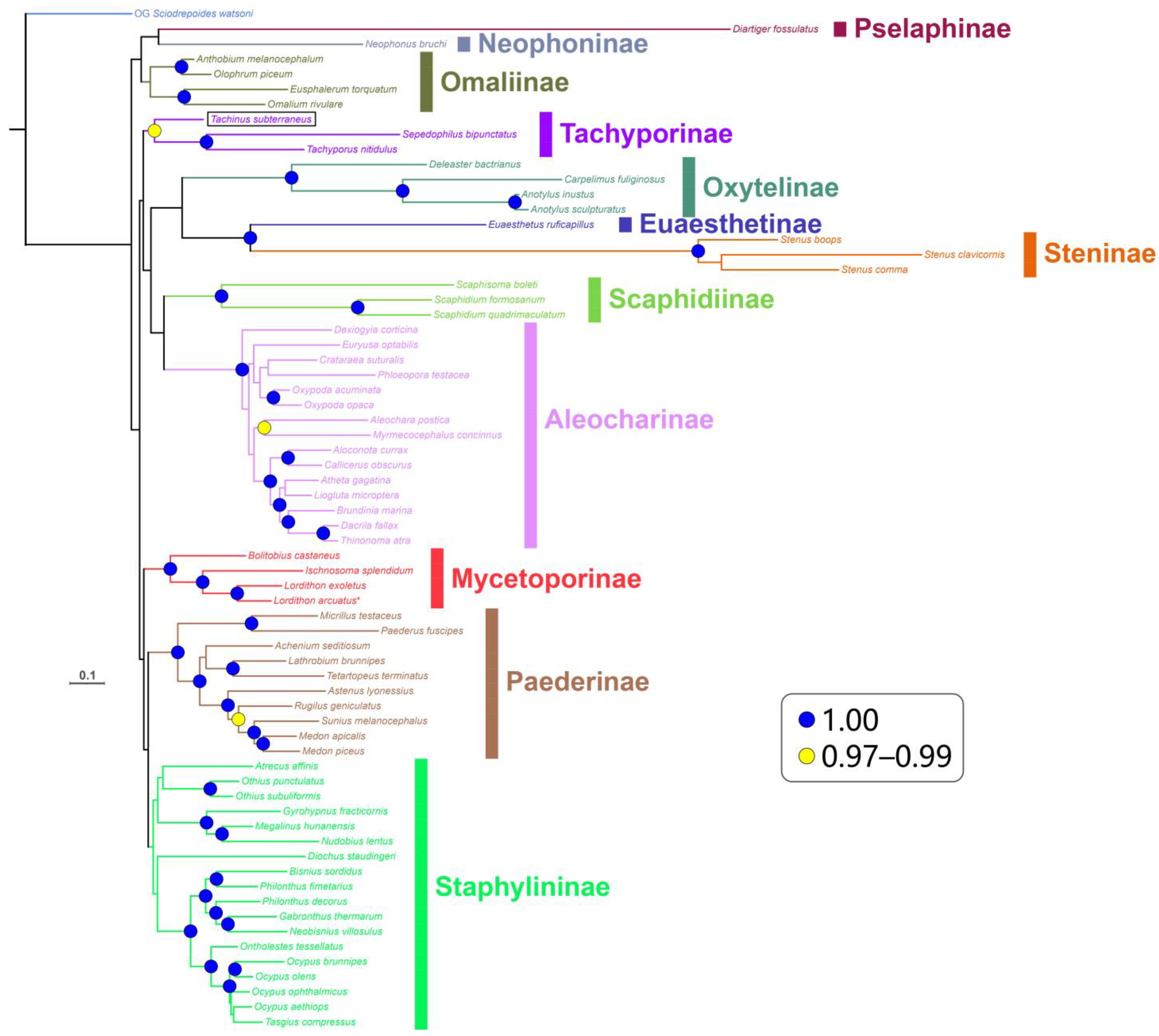 Diversity 15 00588 g007 Diversity 15 00588 g007