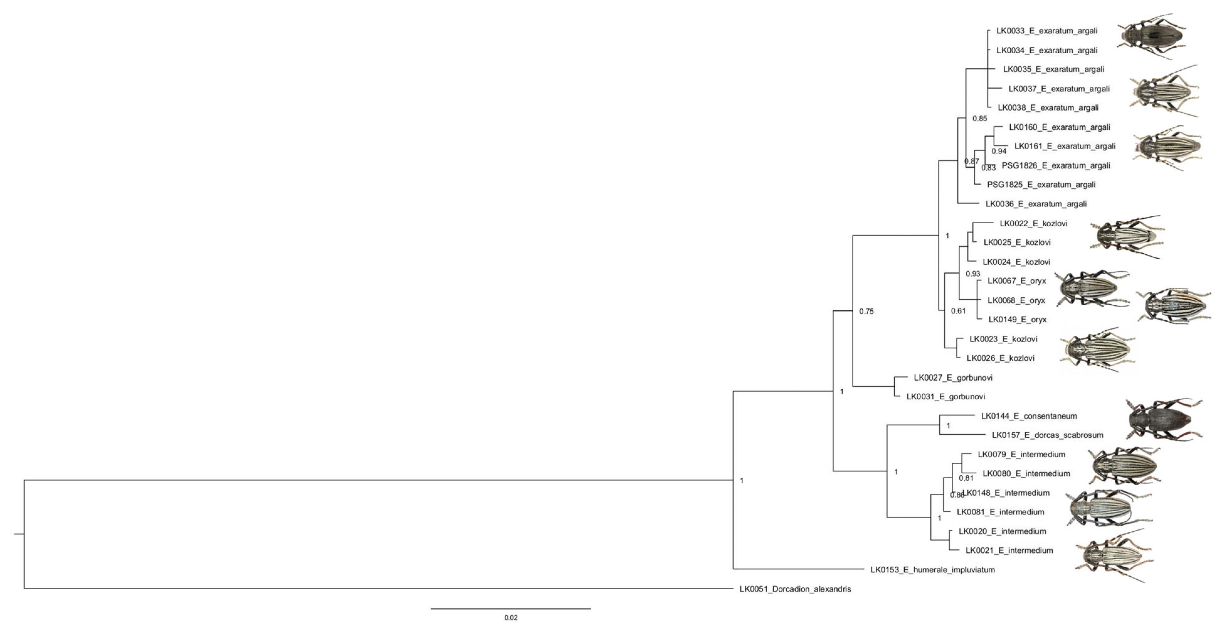 Diversity 15 00662 g004