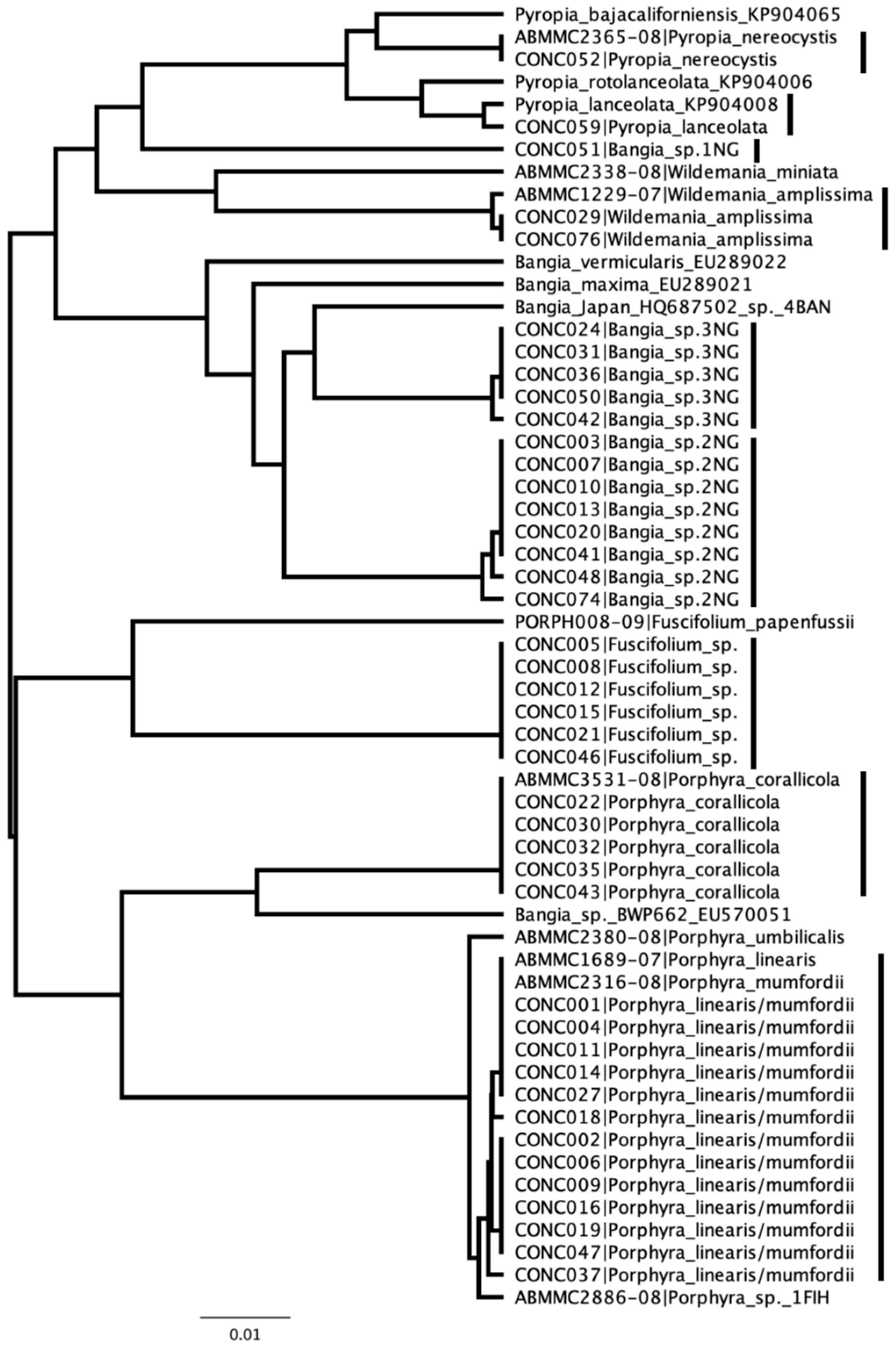 Diversity 15 00677 g002 Diversity 15 00677 g002