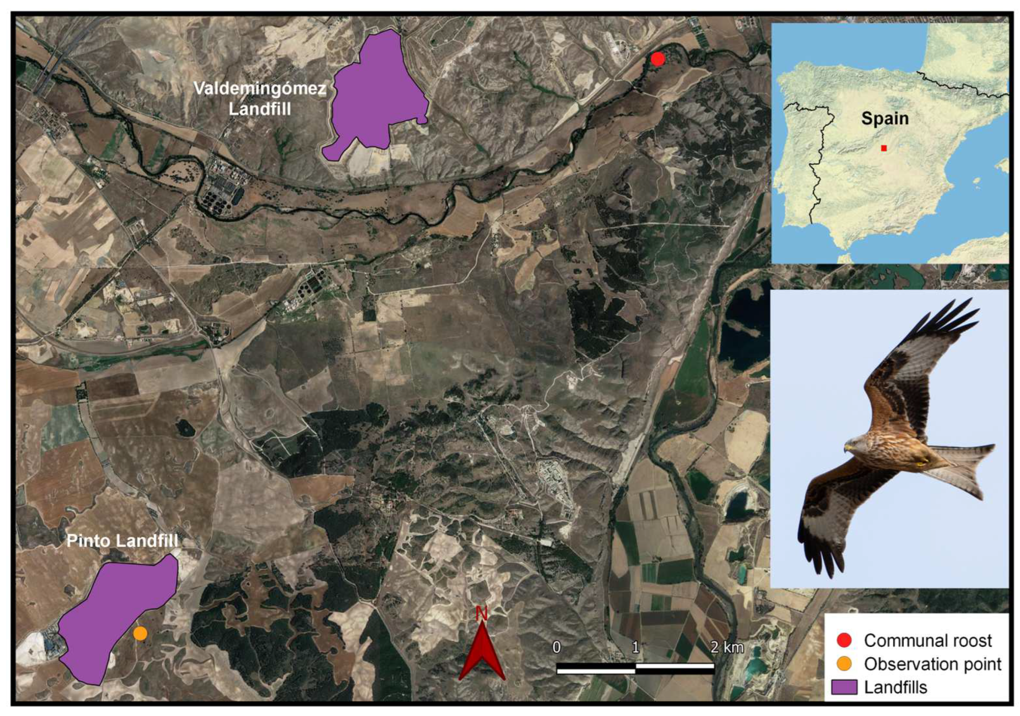 Diversity 15 00704 g001 Diversity 15 00704 g001