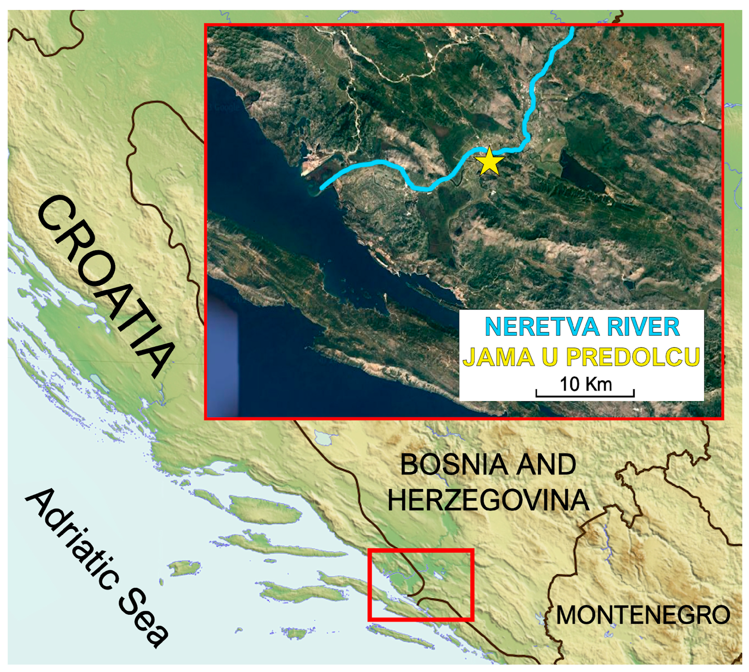 Diversity 15 00707 g001