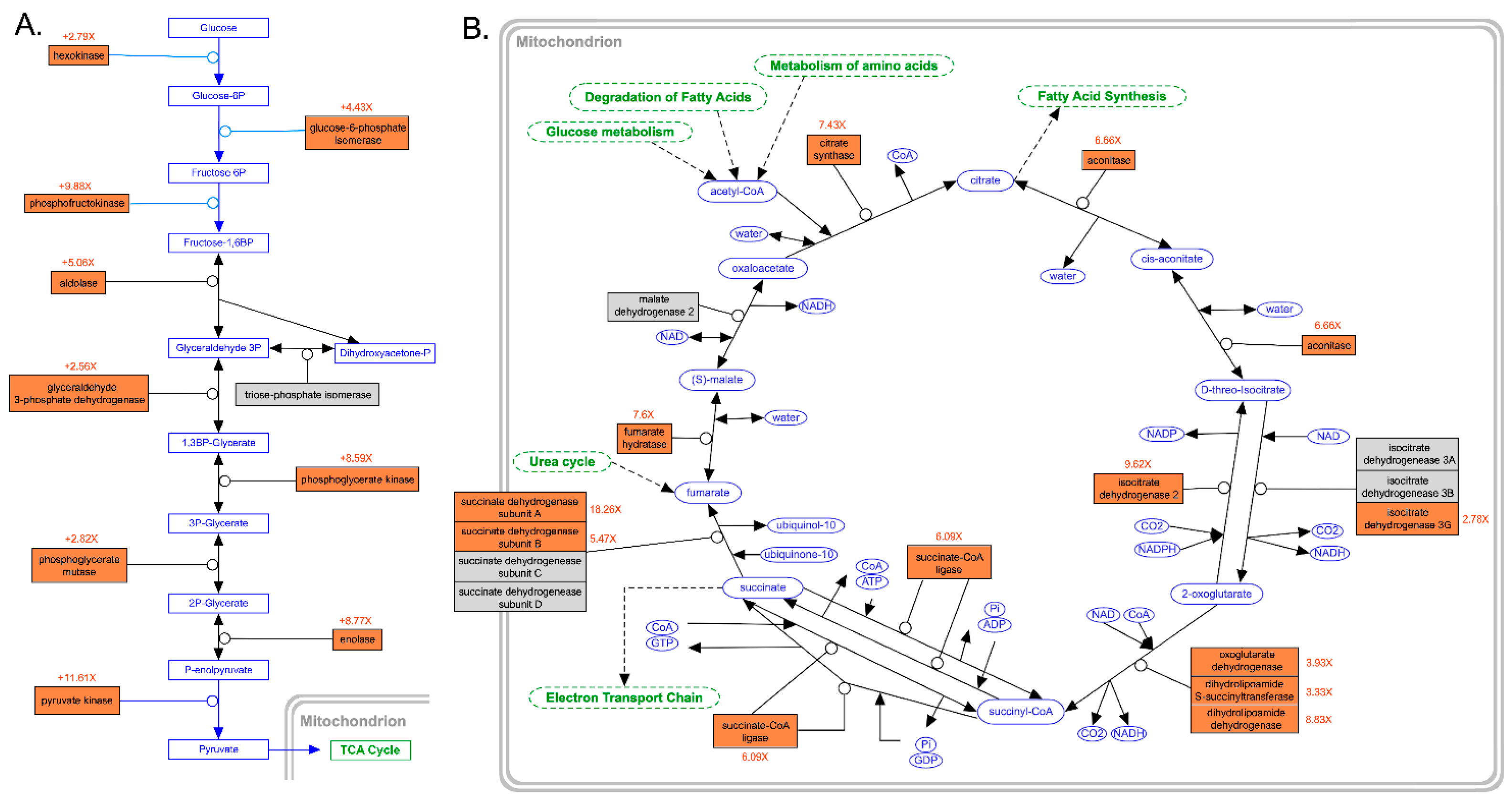 Diversity 15 00707 g005
