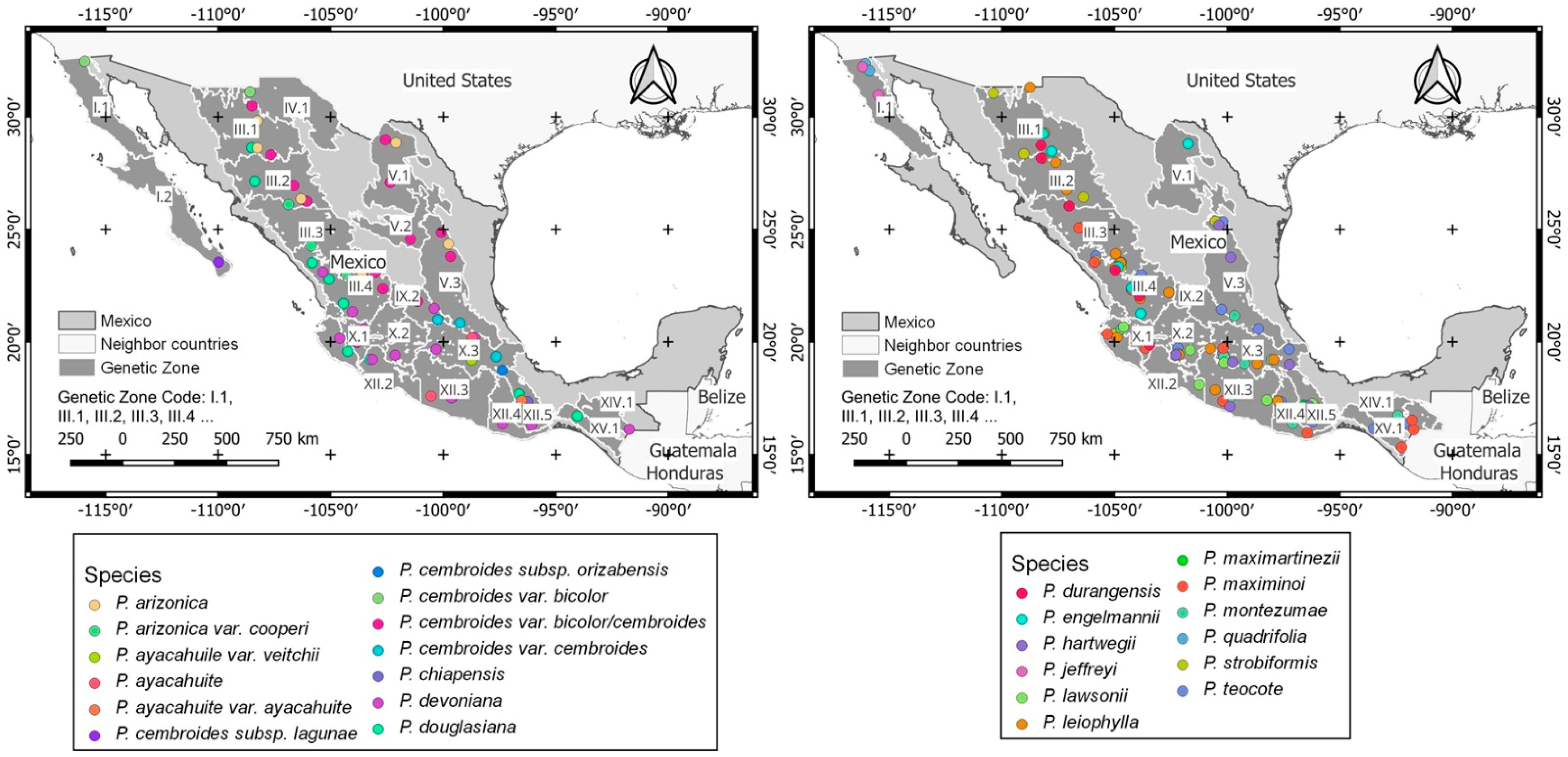 Diversity 15 00735 g002