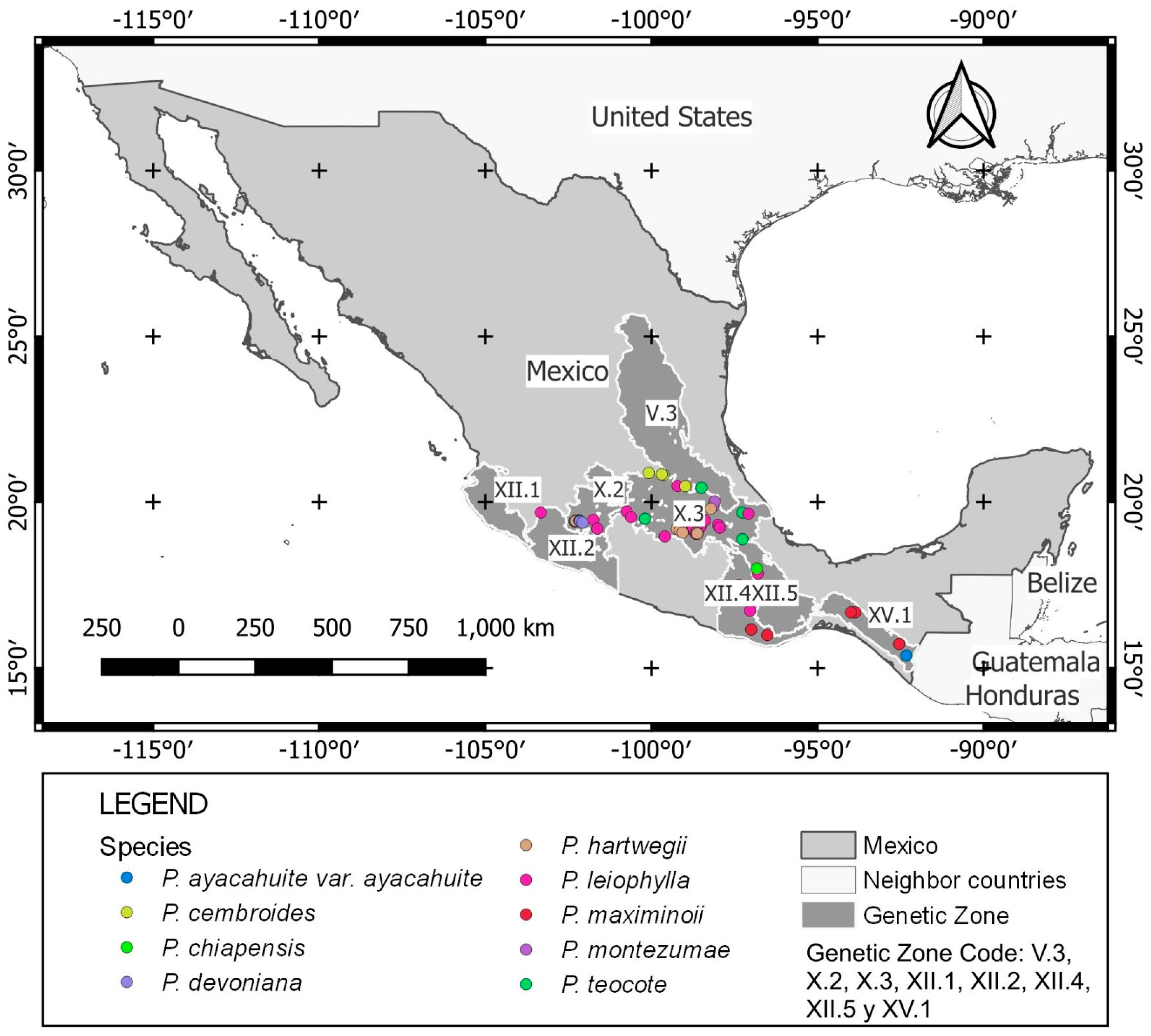 Diversity 15 00735 g003