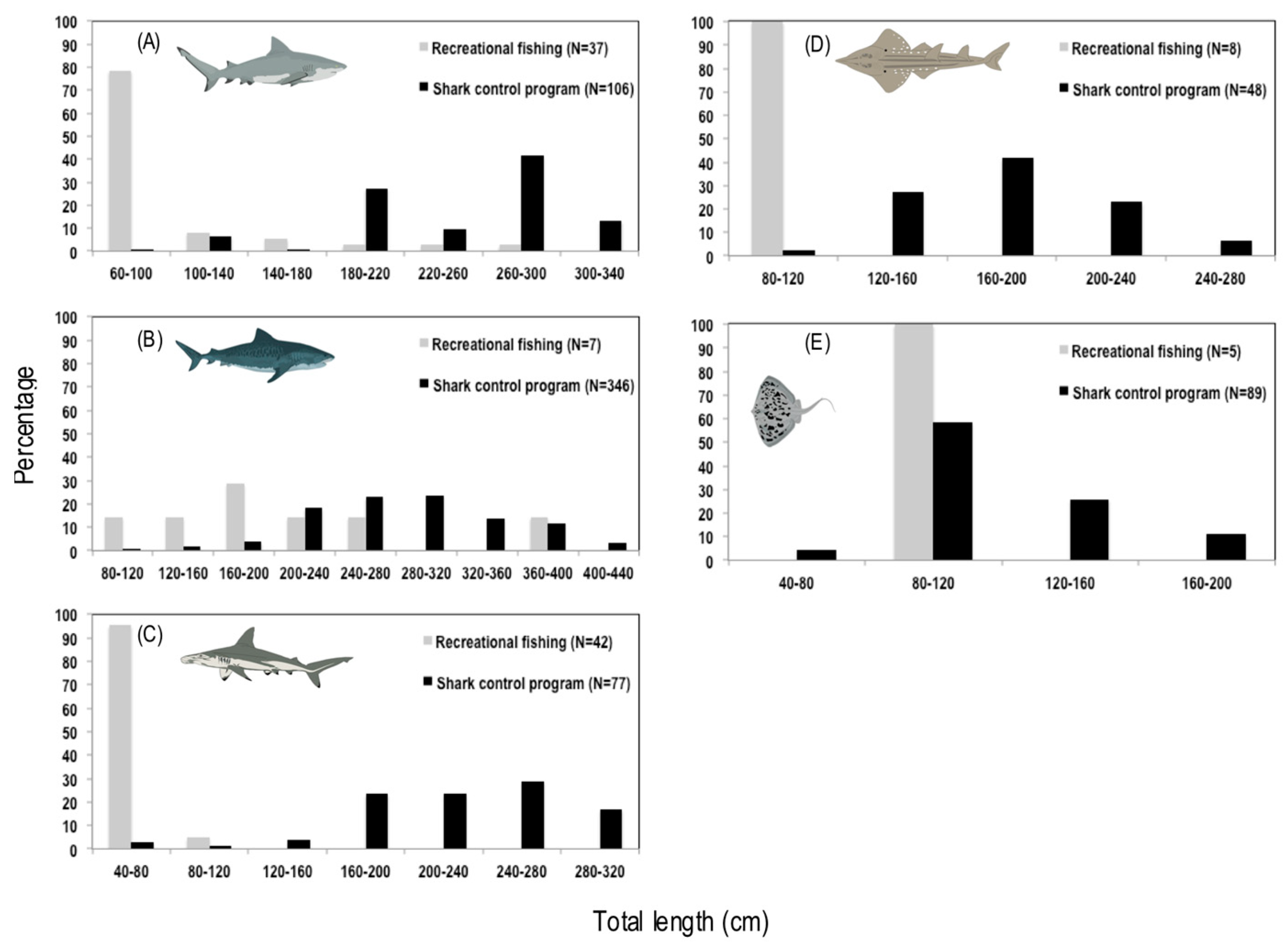 Océans – Record d'attaques de requins en 2015