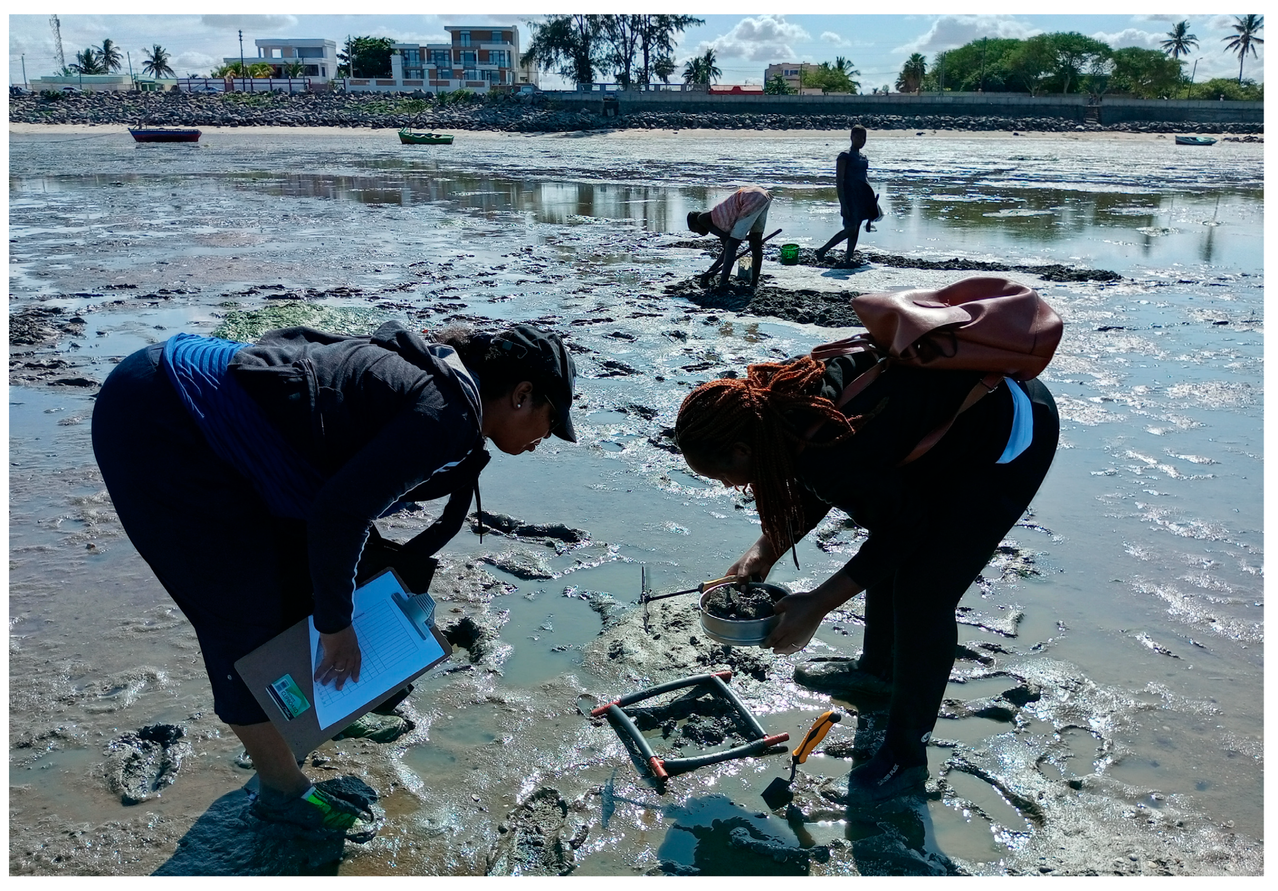 Diversity 15 00772 g002