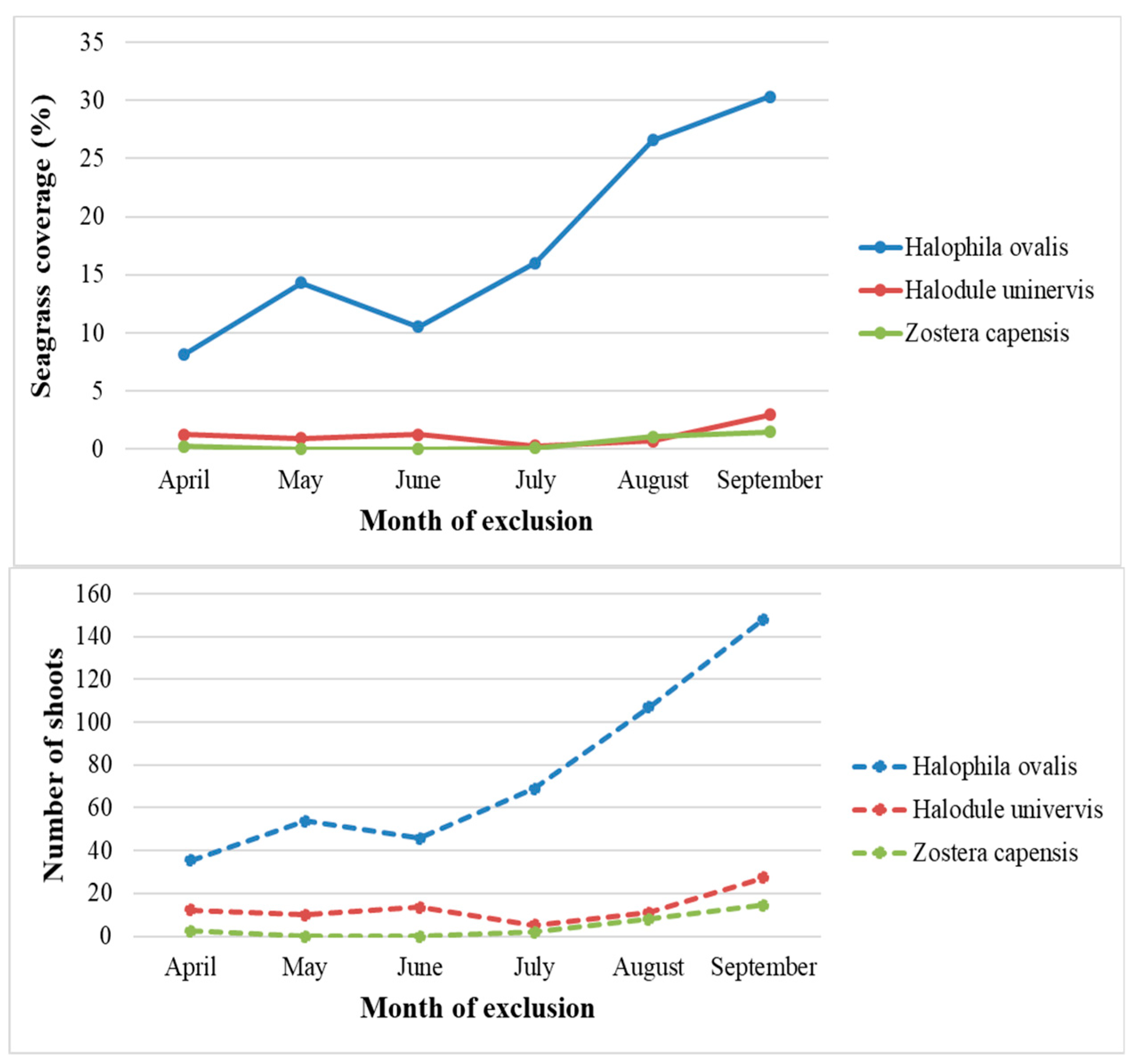 Diversity 15 00772 g004