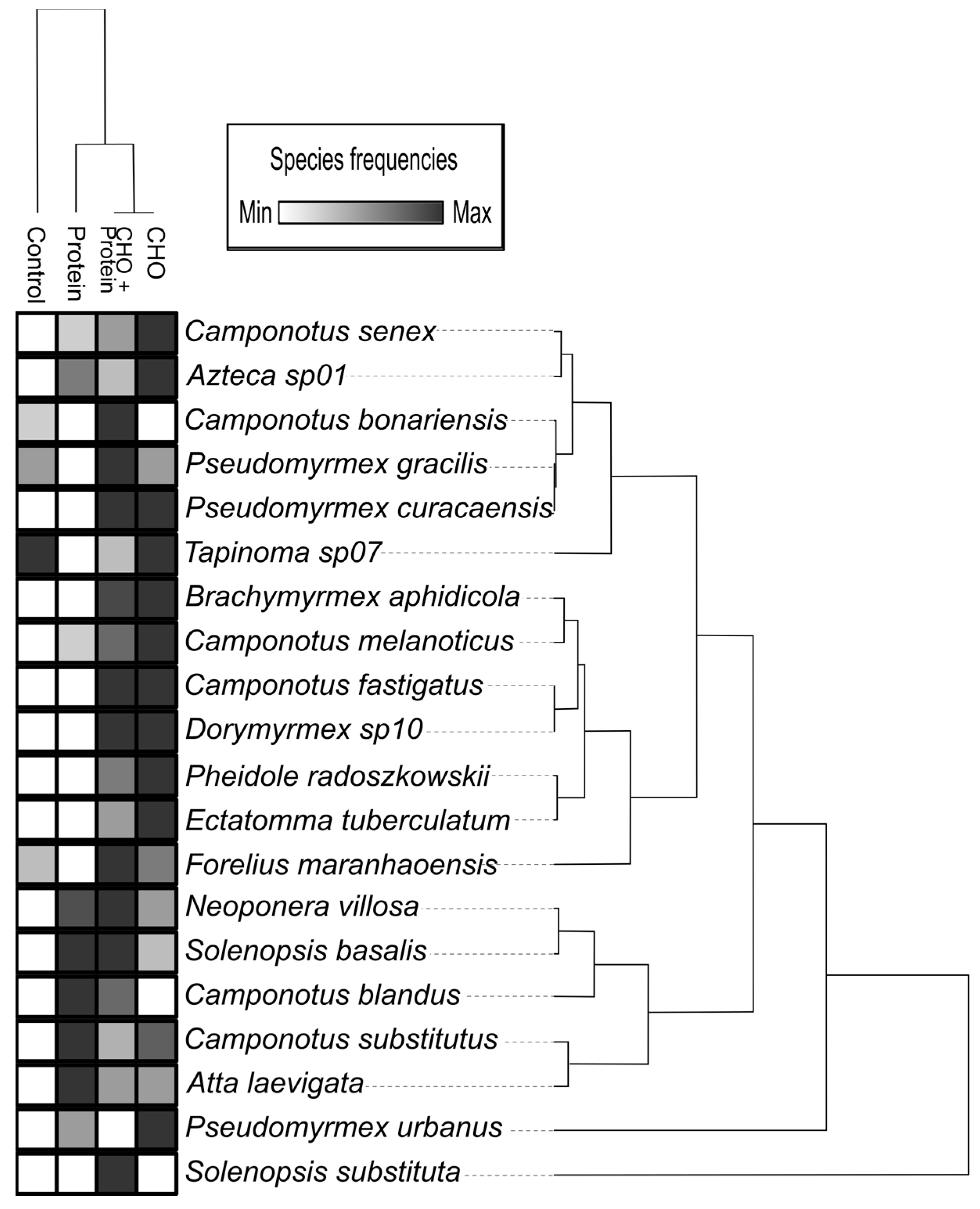 Diversity 15 00786 g004