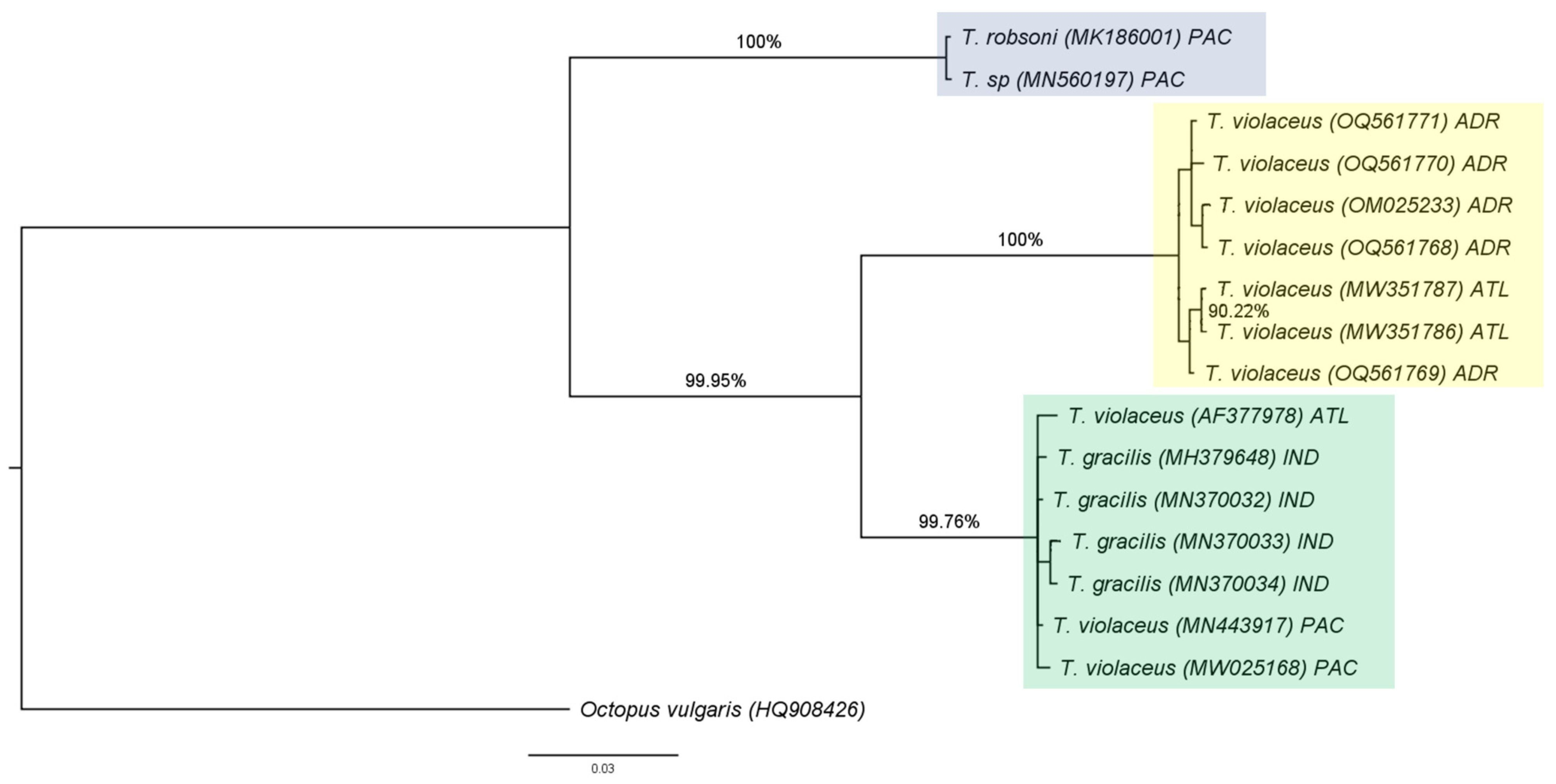 Diversity 15 00794 g006