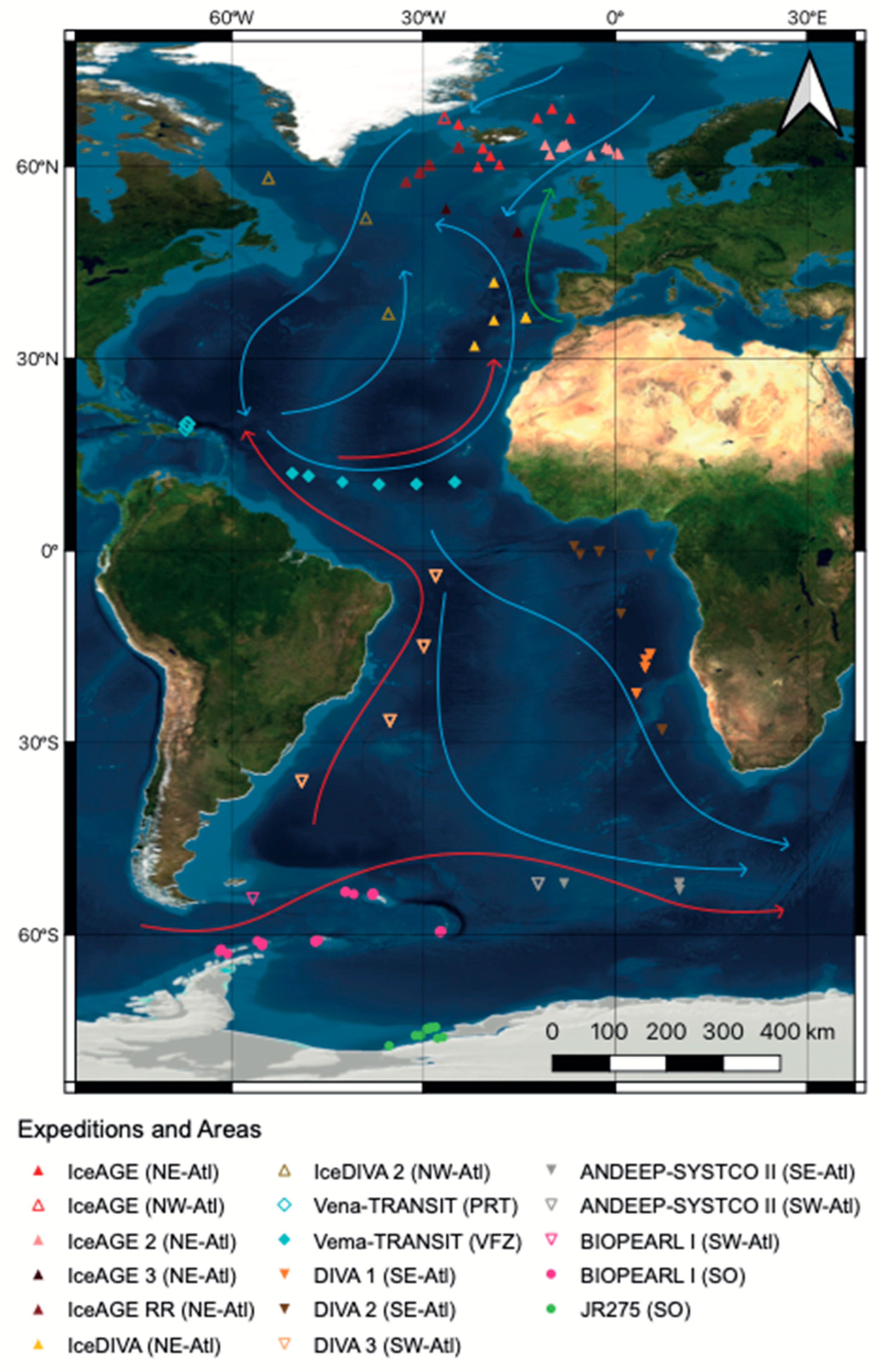 Diversity | Free Full-Text | Megabenthos Macro- and Deep-Sea of Pan-Atlantic Comparison