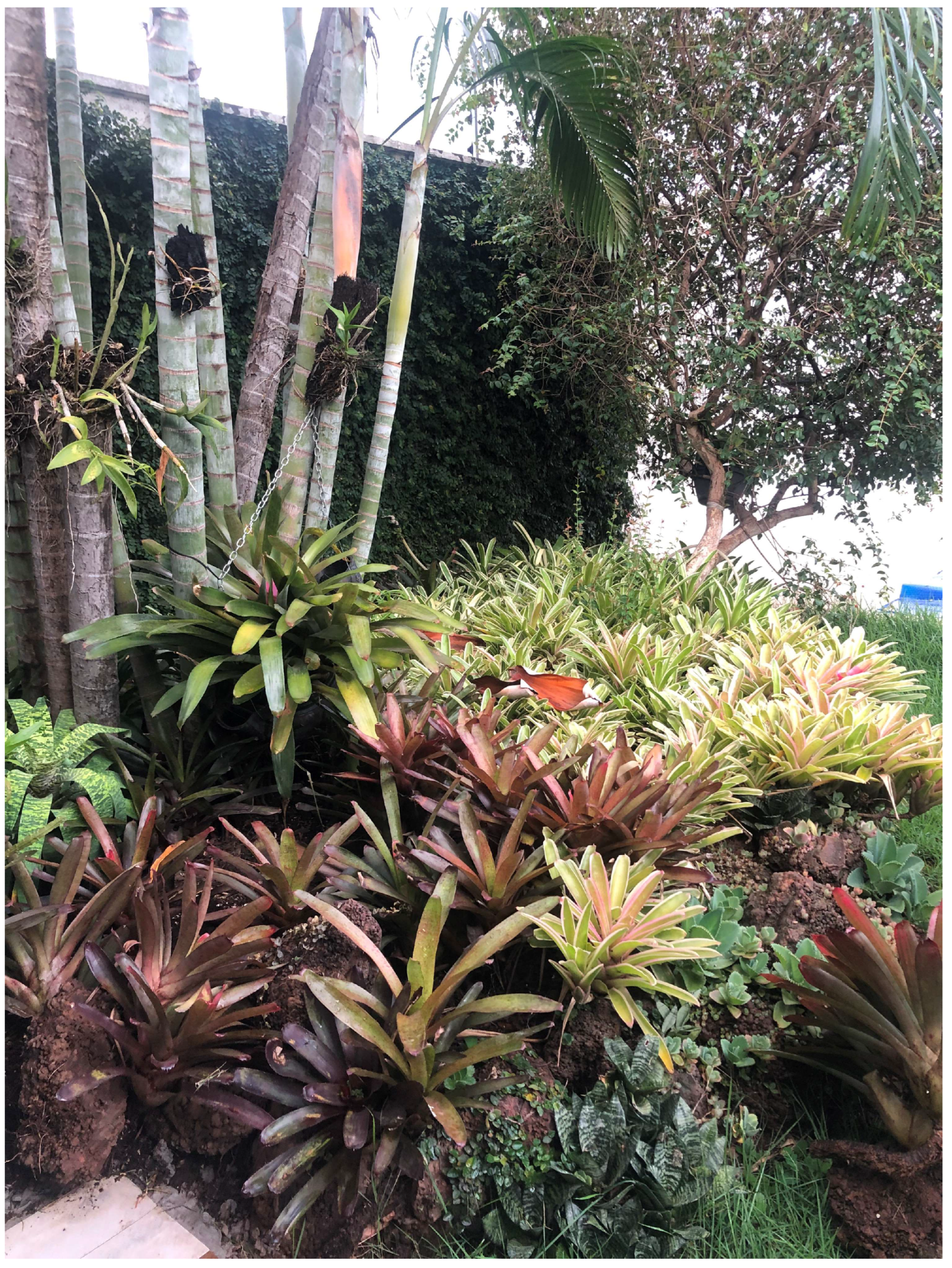 Diversity 15 00815 g002 Diversity 15 00815 g002