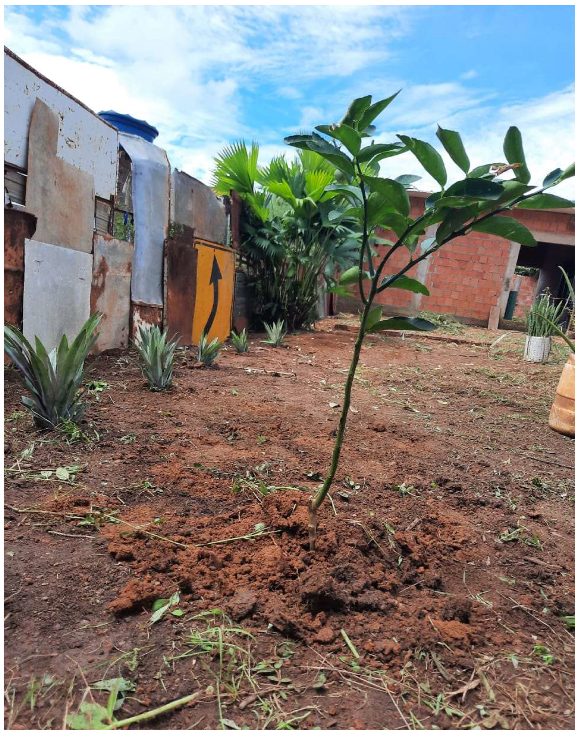 Diversity 15 00815 g004 Diversity 15 00815 g004