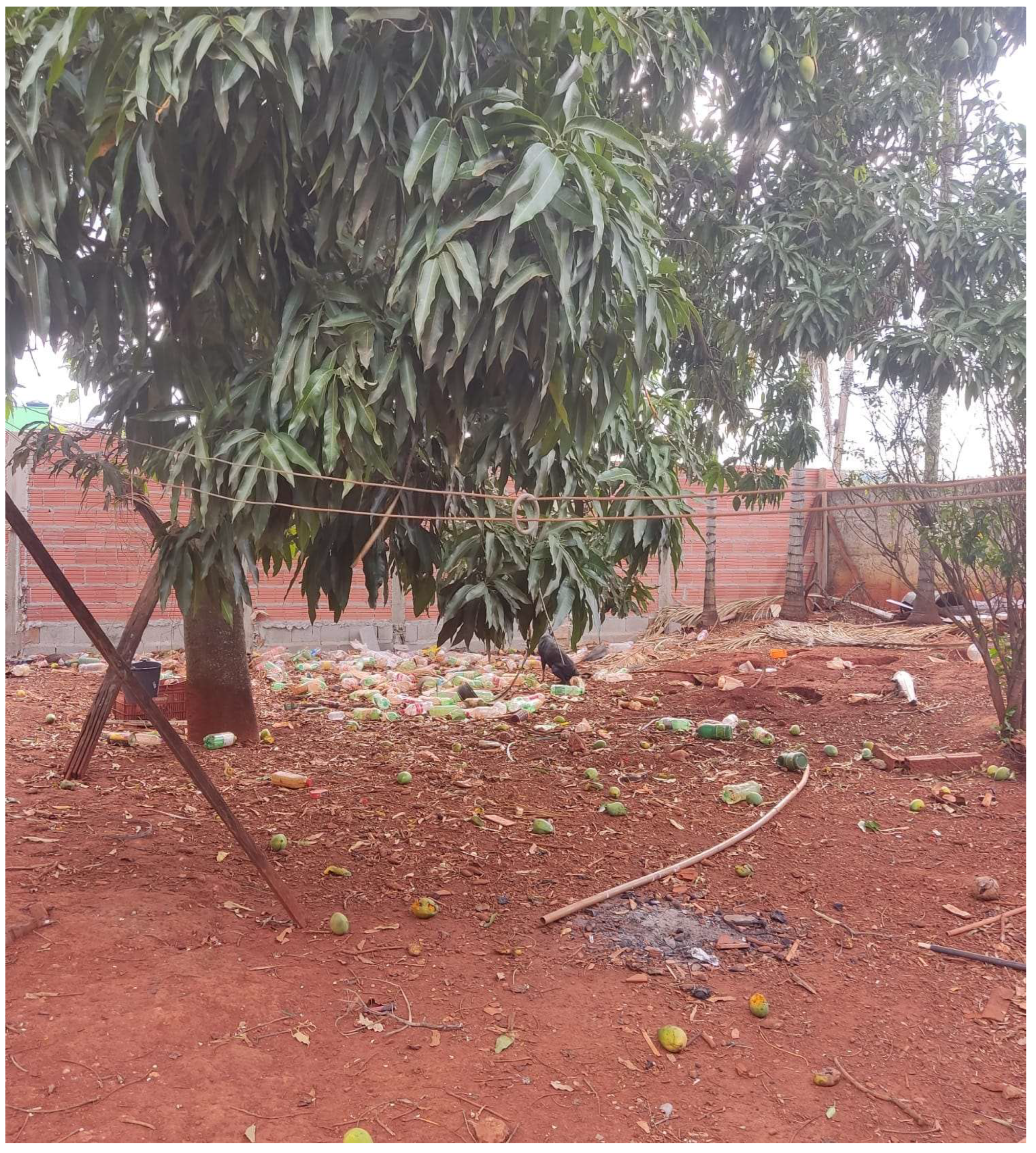 Diversity 15 00815 g005 Diversity 15 00815 g005