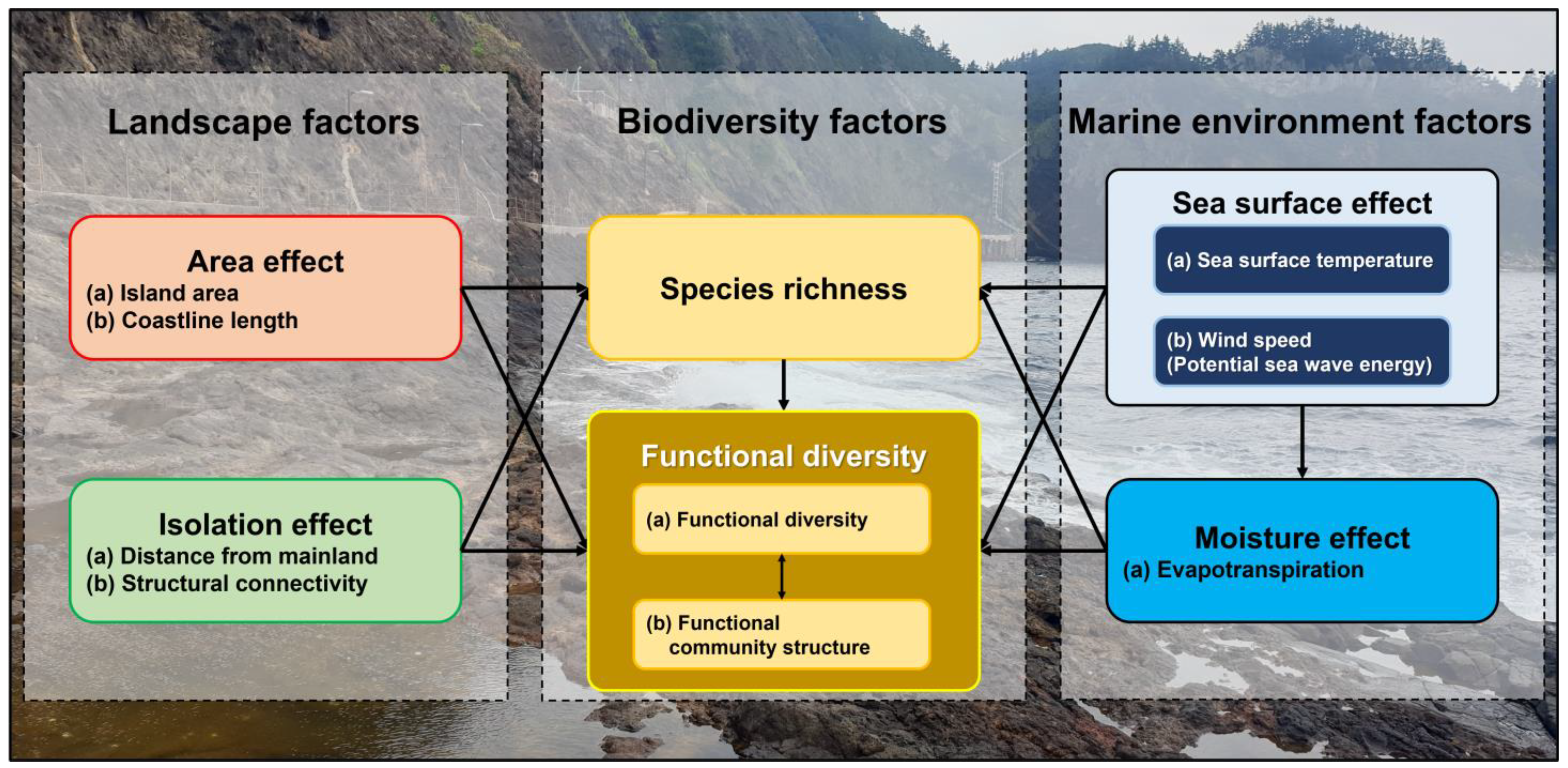 Diversity 15 00826 g002