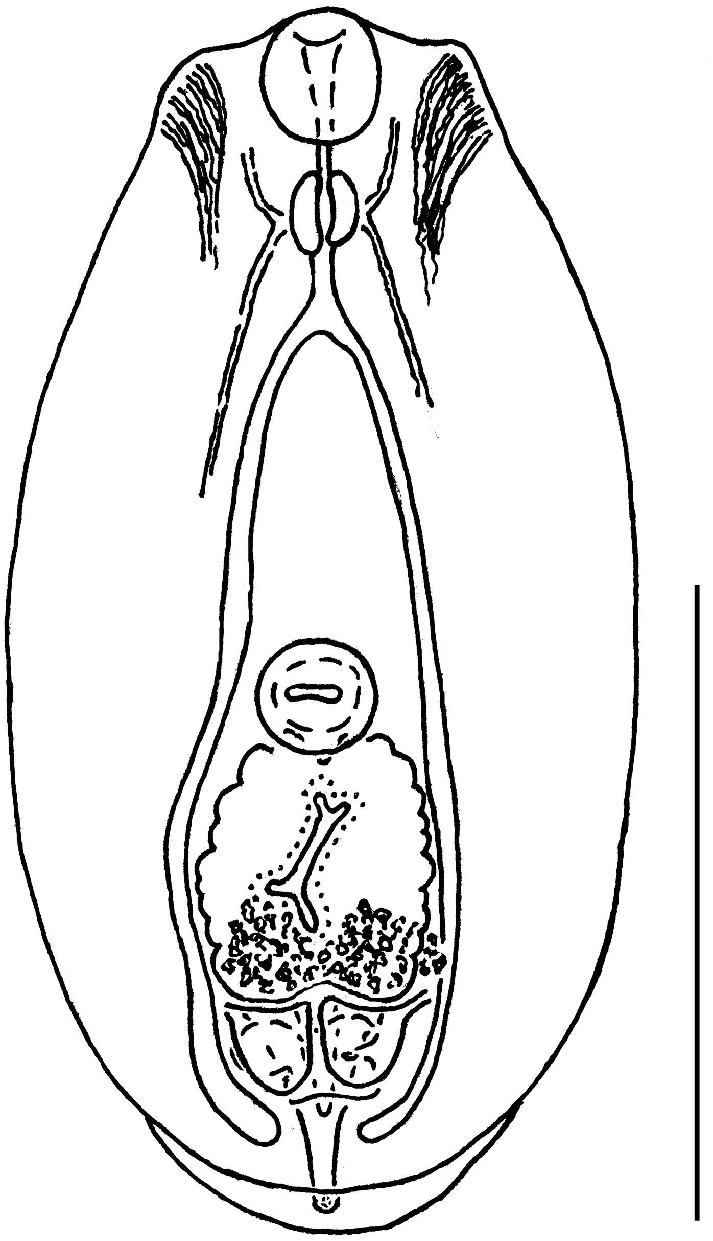 Diversity 15 00840 g002 Diversity 15 00840 g002