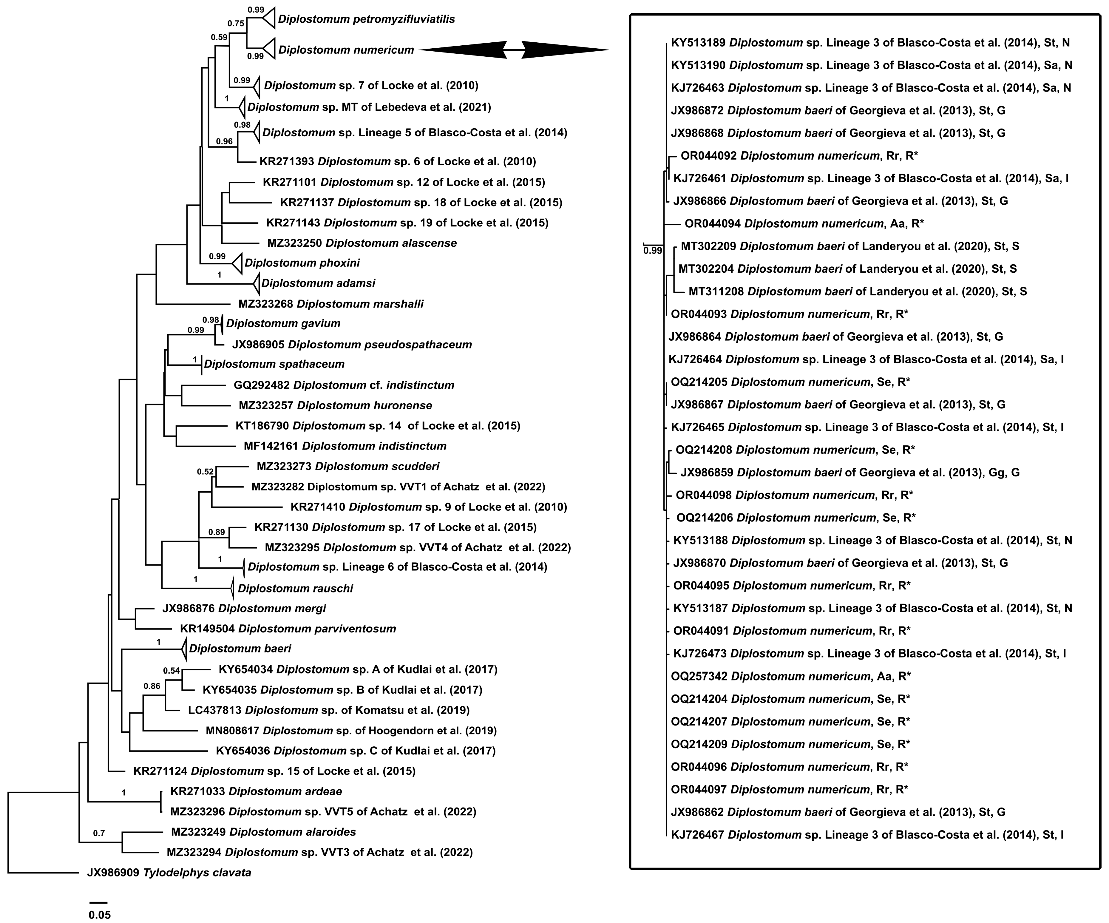 Diversity 15 00840 g003 Diversity 15 00840 g003
