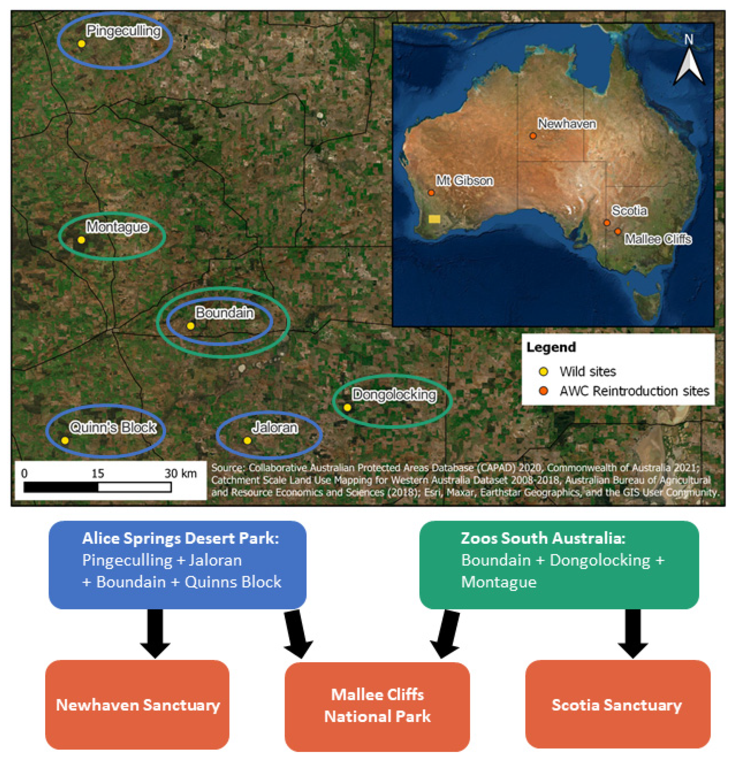 Diversity 15 00848 g002