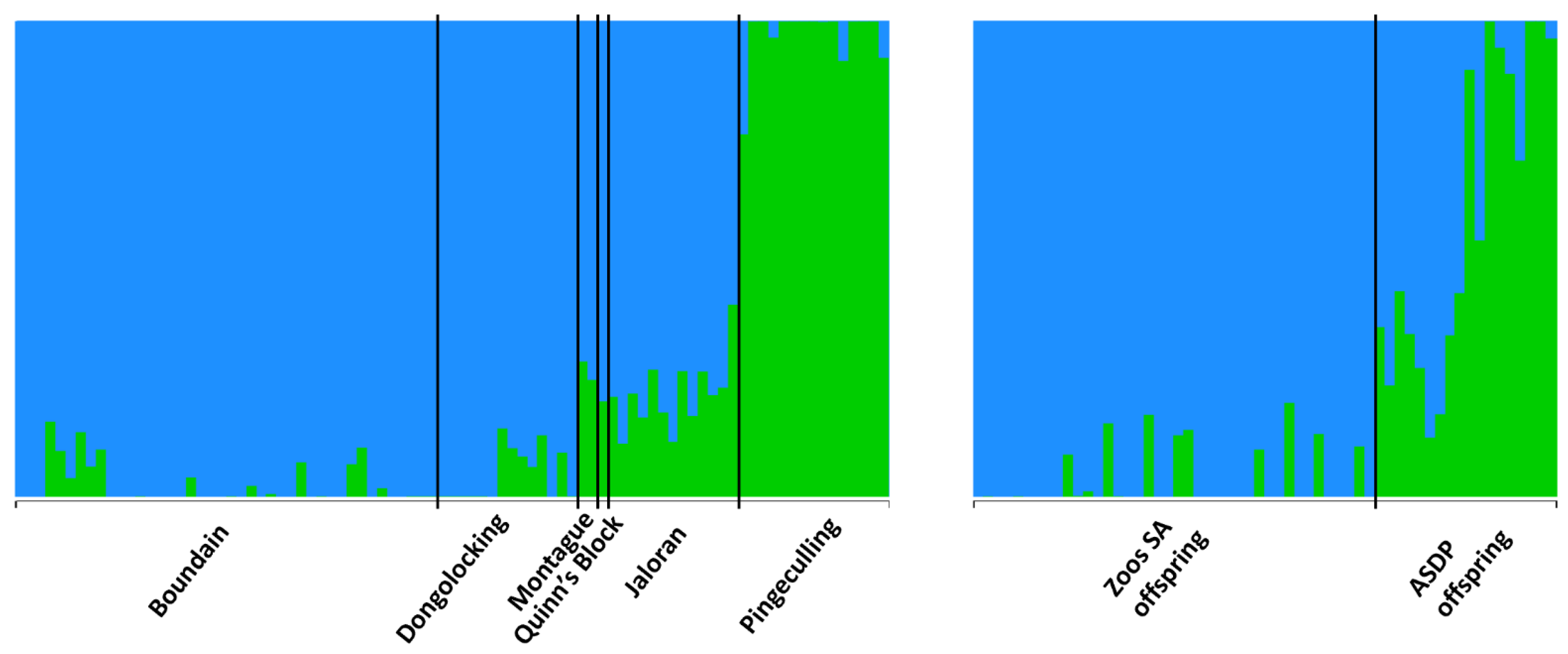 Diversity 15 00848 g004