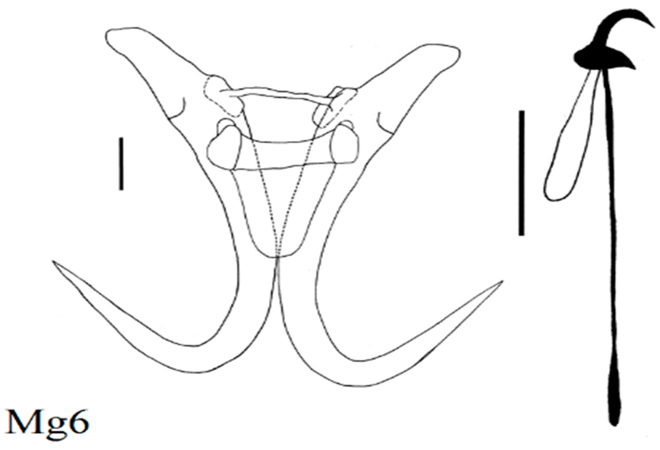 Diversity 15 00860 g003 Diversity 15 00860 g003